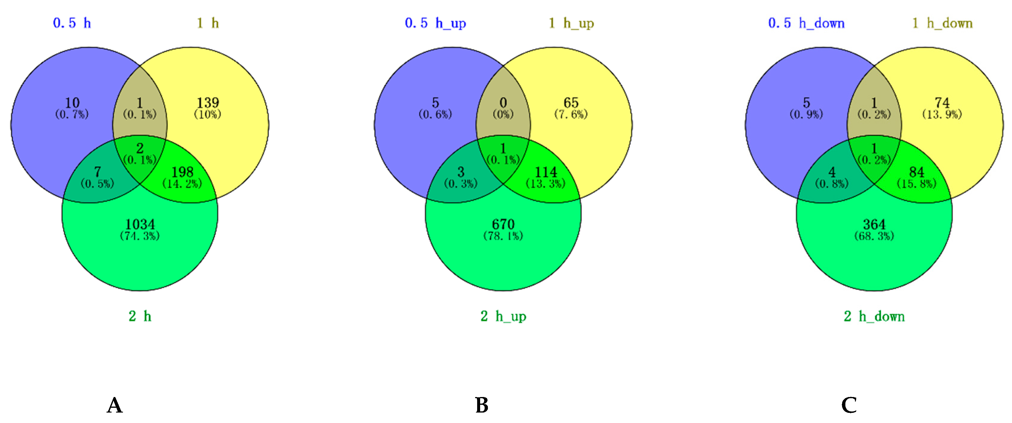 Ijms Free Full Text Transcriptome Profiling Reveals Effects Of Drought Stress On Gene Expression In Diploid Potato Genotype P3 198 Html