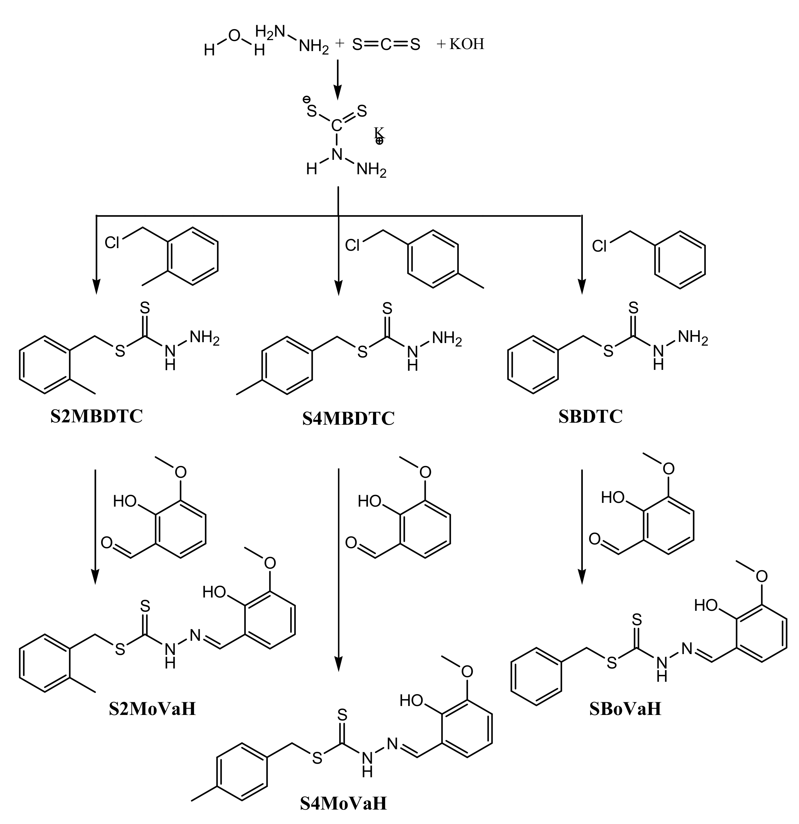 Ijms 20 00854 sch001 550