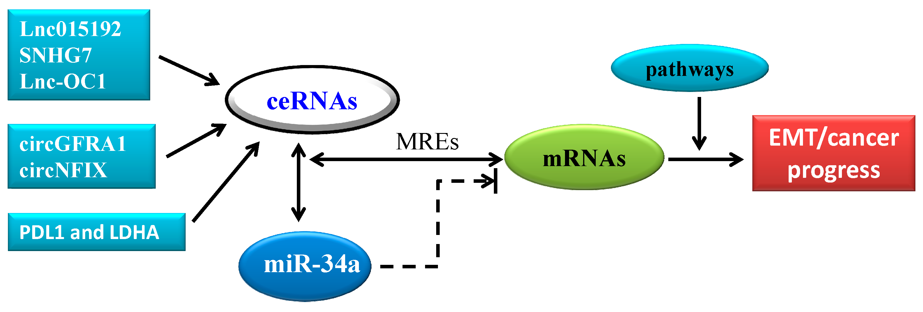 Ijms 20 00861 g003 Ijms 20 00861 g003