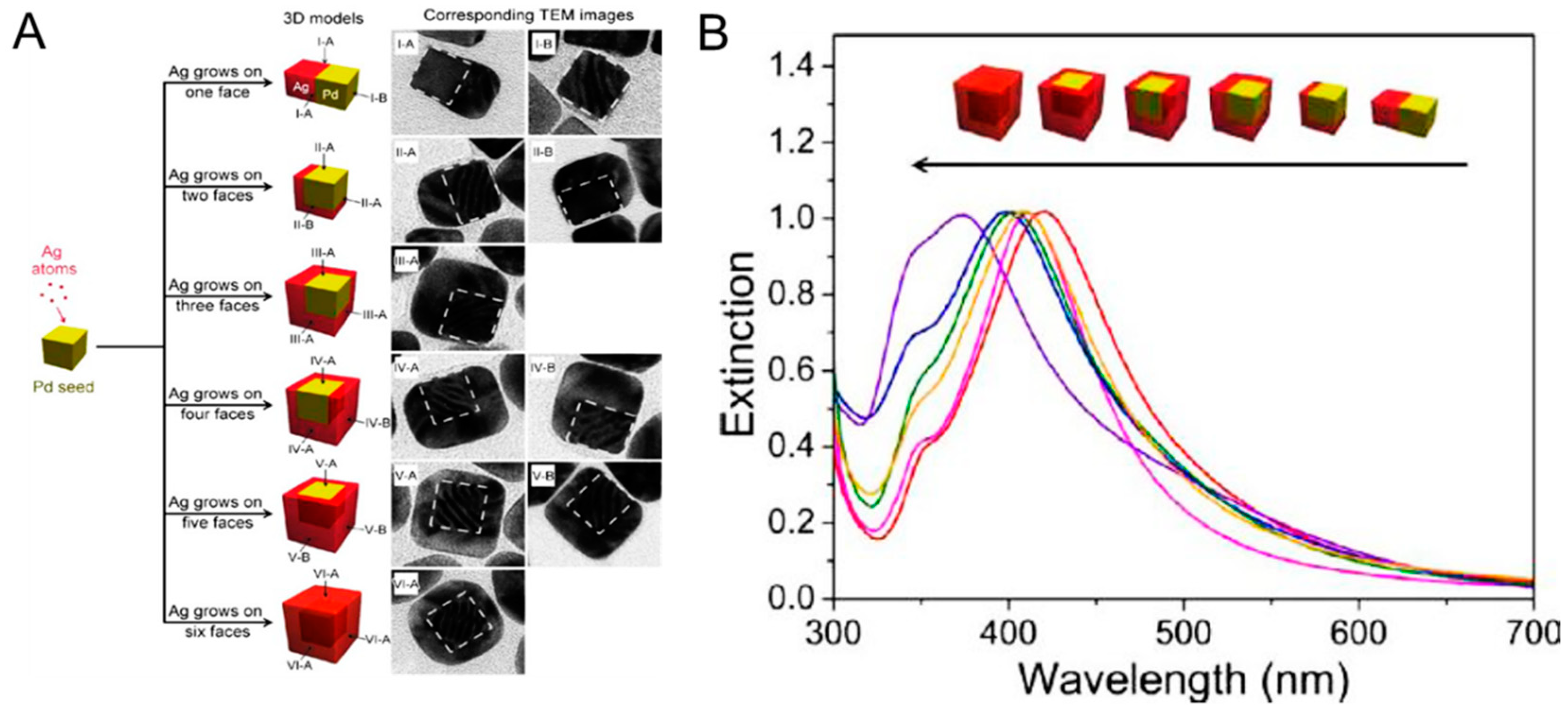 Ijms 20 00865 g005 550