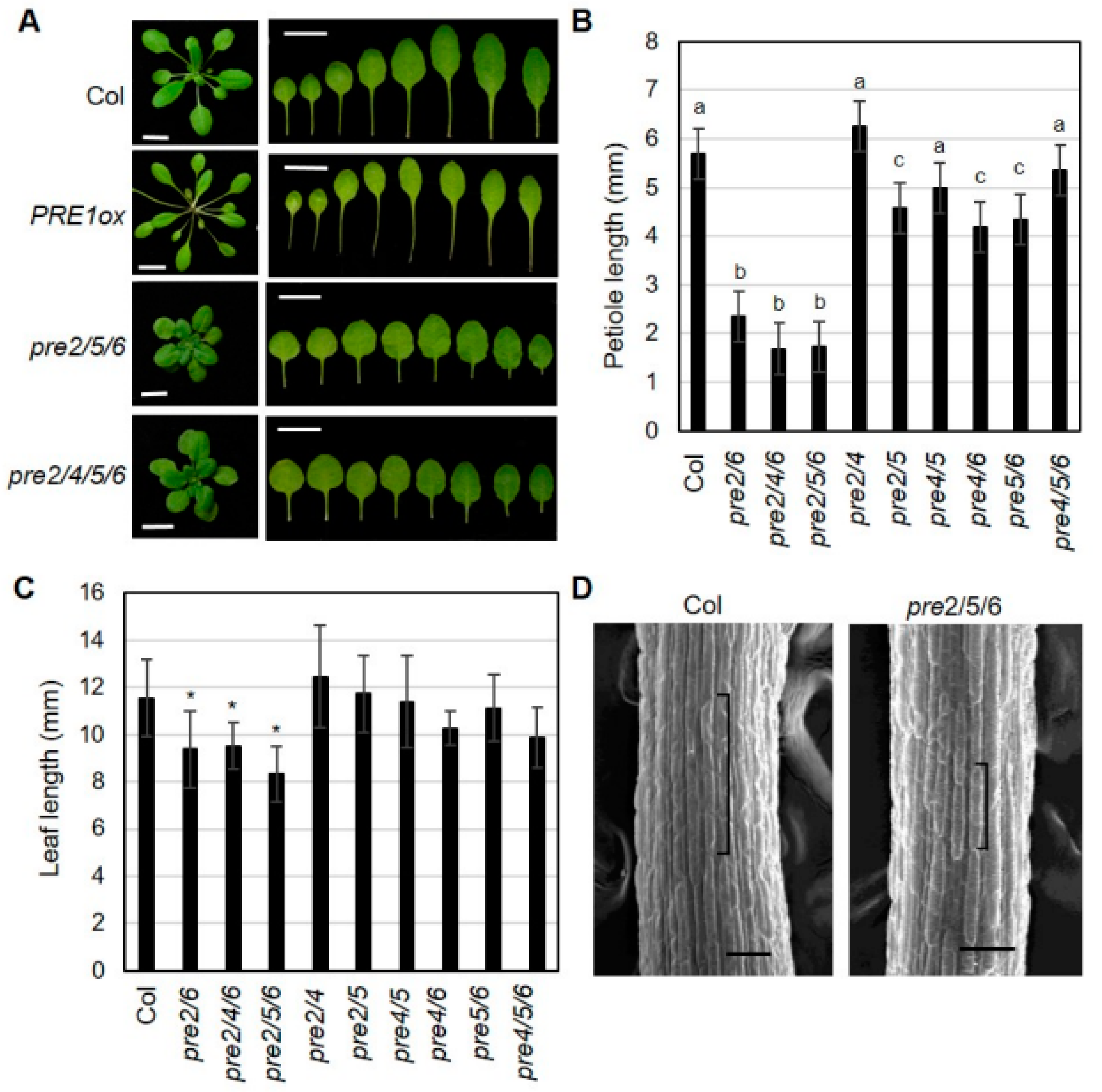 Ijms 20 00869 g001 550