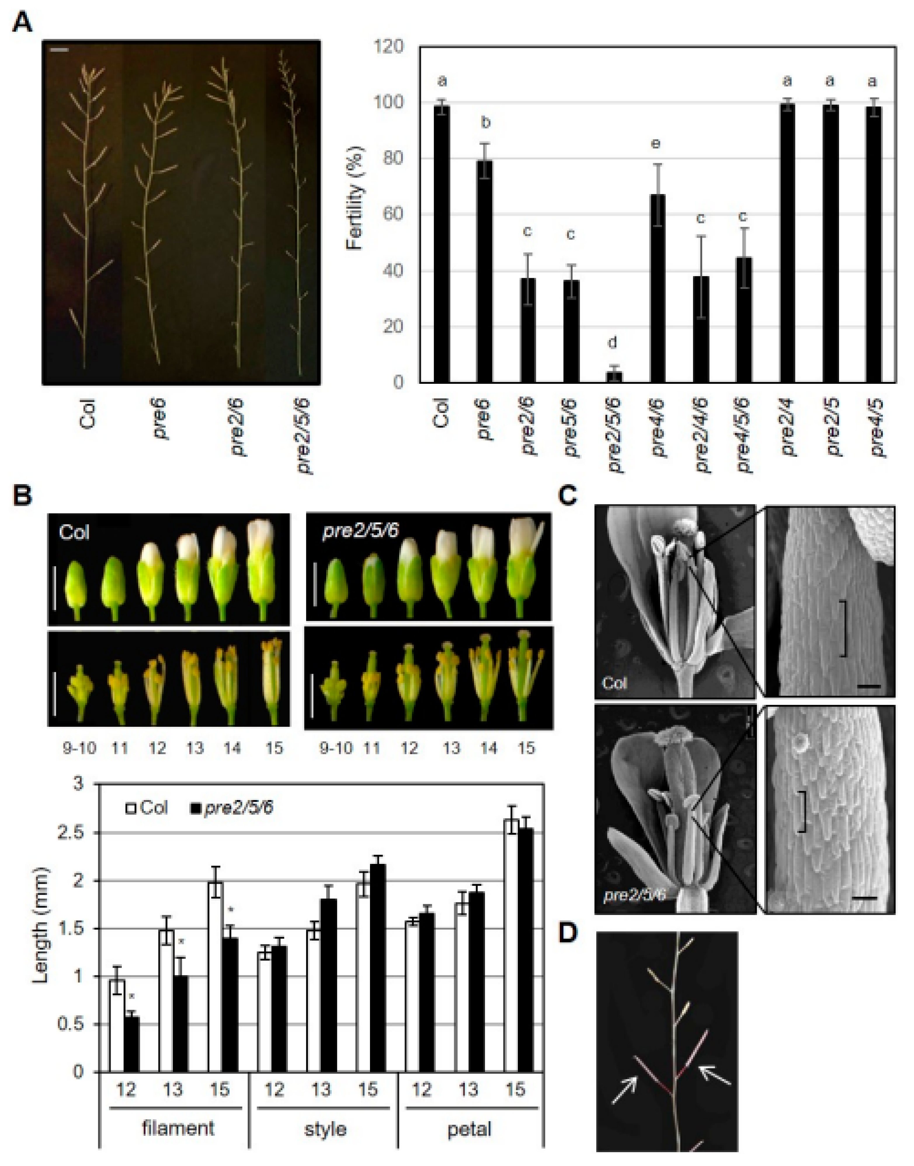 Ijms 20 00869 g002 550