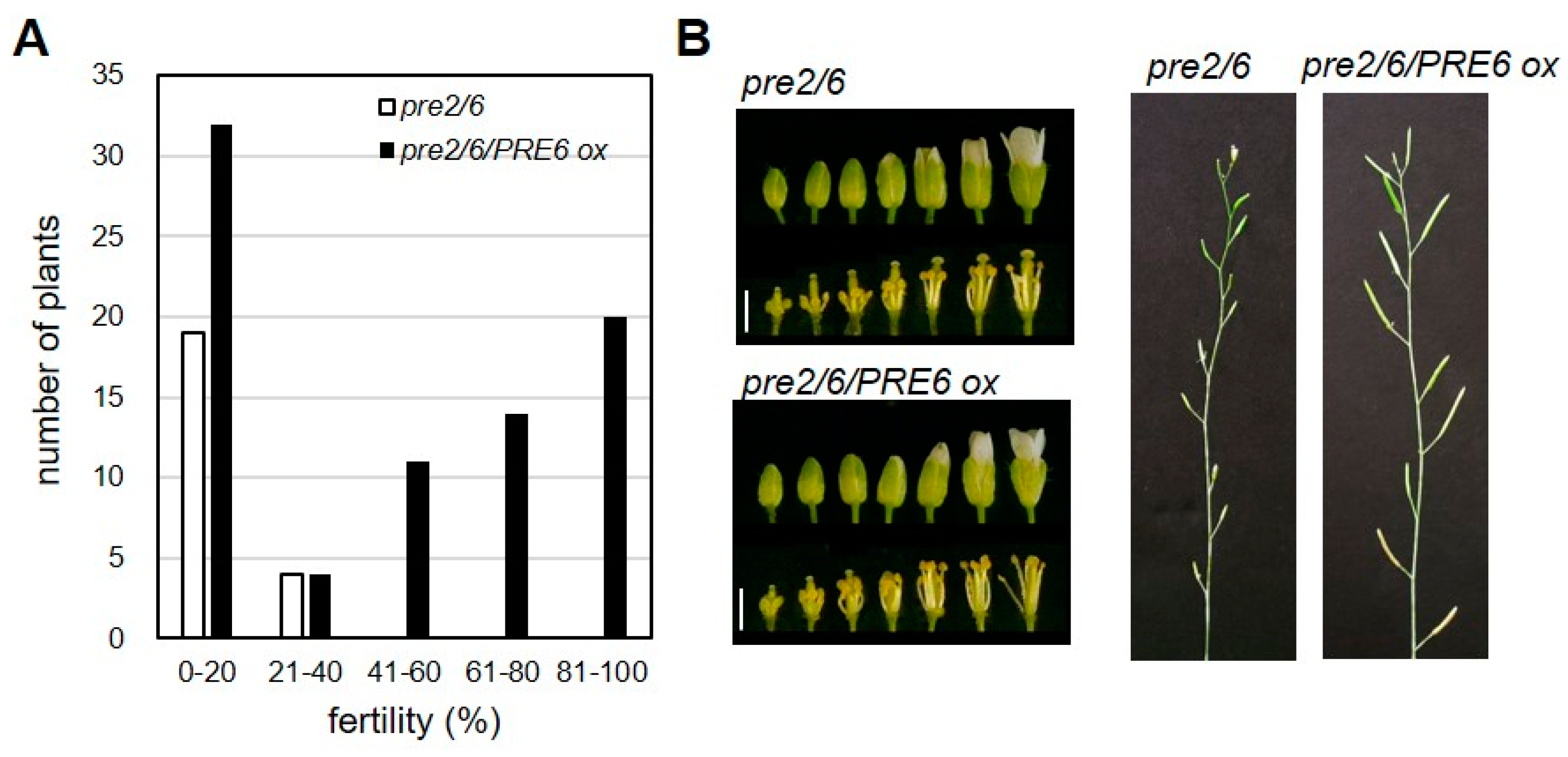 Ijms 20 00869 g003 550