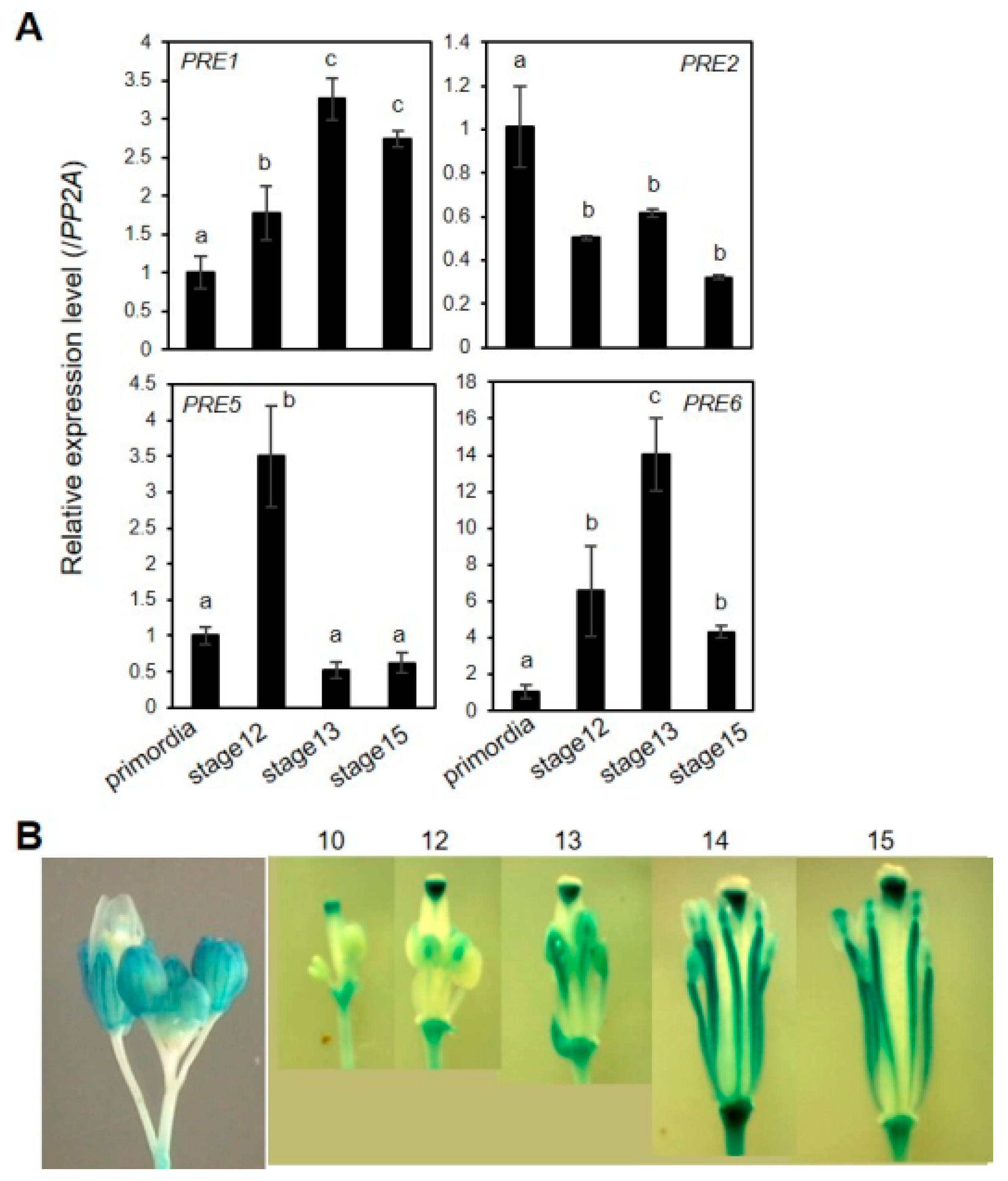Ijms 20 00869 g005 550