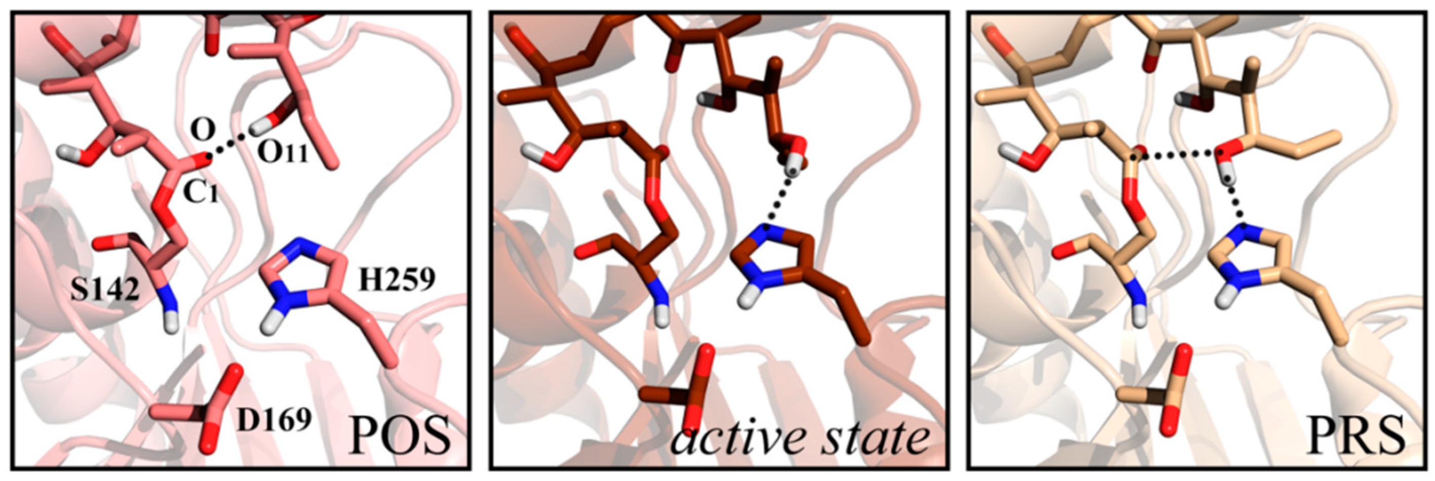 Ijms 20 00877 g001 Ijms 20 00877 g001