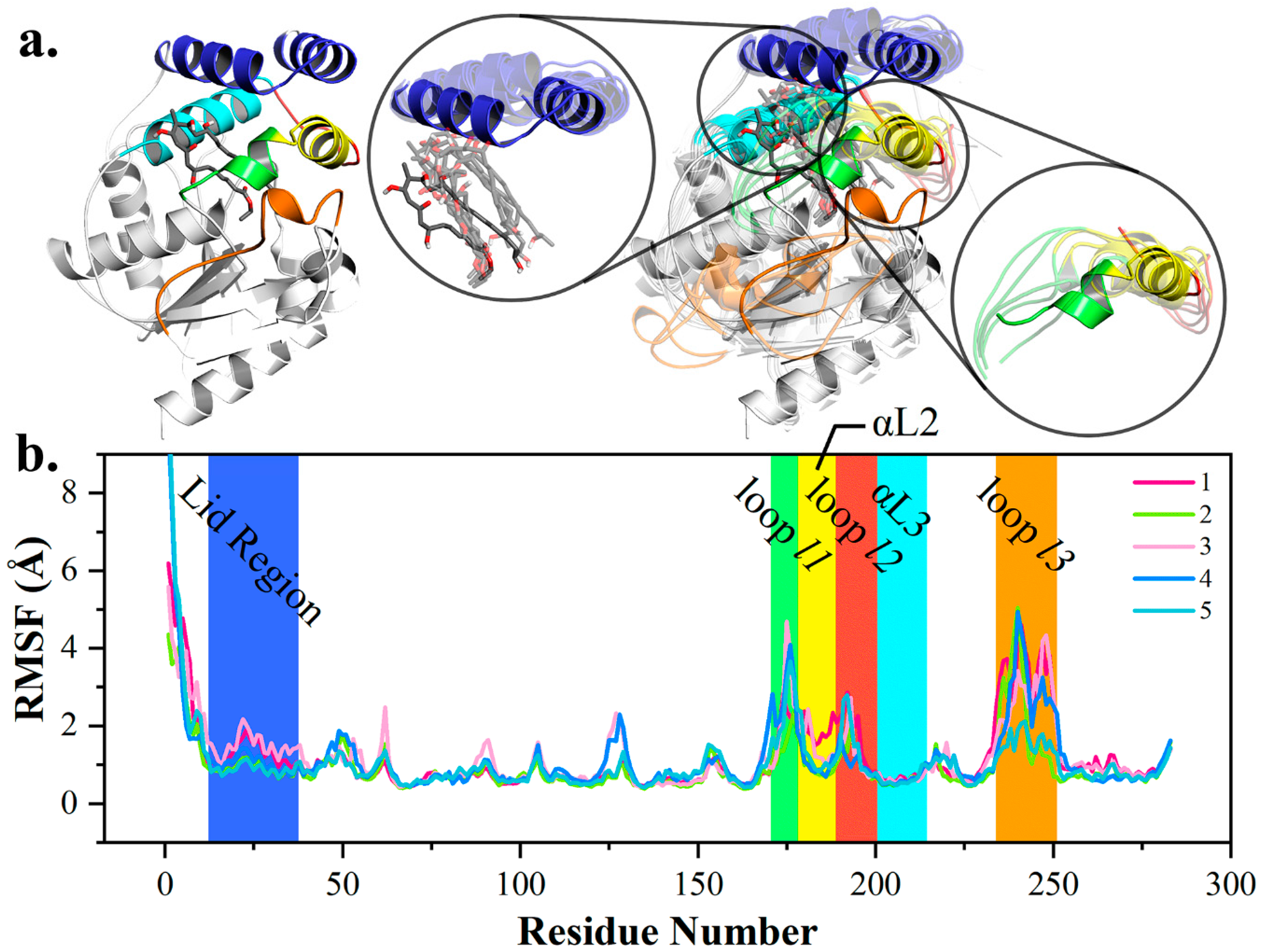 Ijms 20 00877 g002 Ijms 20 00877 g002