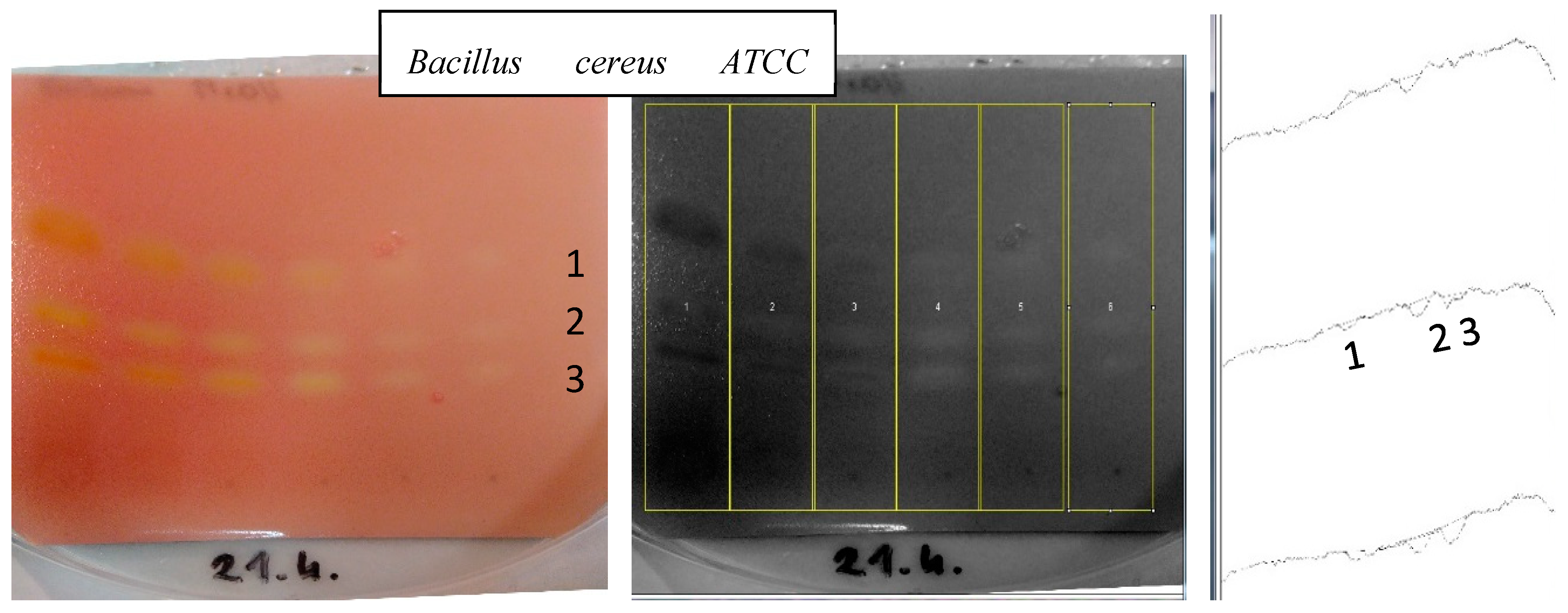 Ijms 20 00898 g001 550