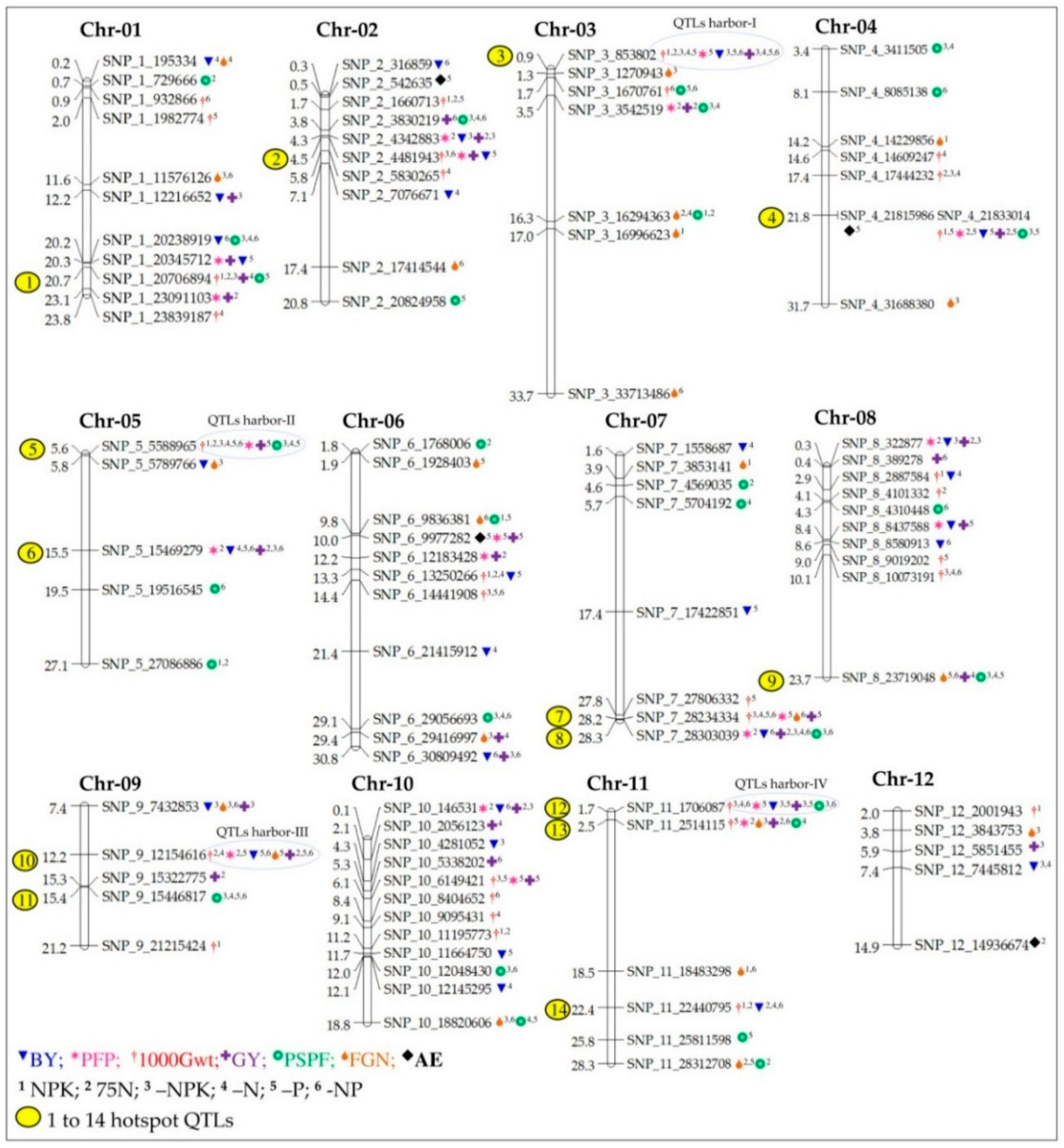 Ijms 20 00900 g003 Ijms 20 00900 g003