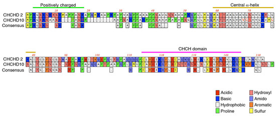 S28A 1/6PHICEN P HMB2019-S28A 素体 海外製シームレスボディ2その後 | んまちの適当☆万歳ヾ(・ω・)ﾉ