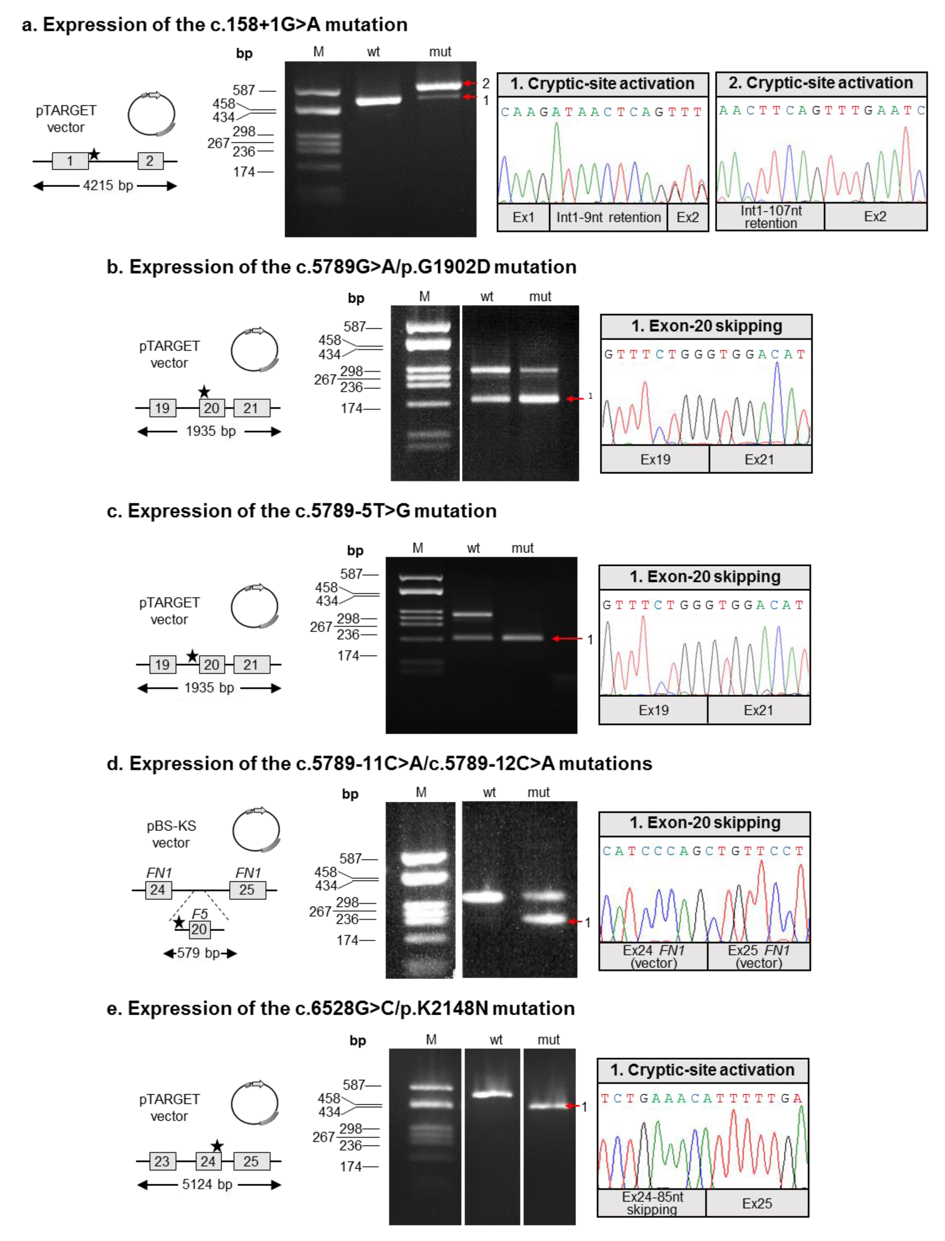 Ijms 20 00910 g002