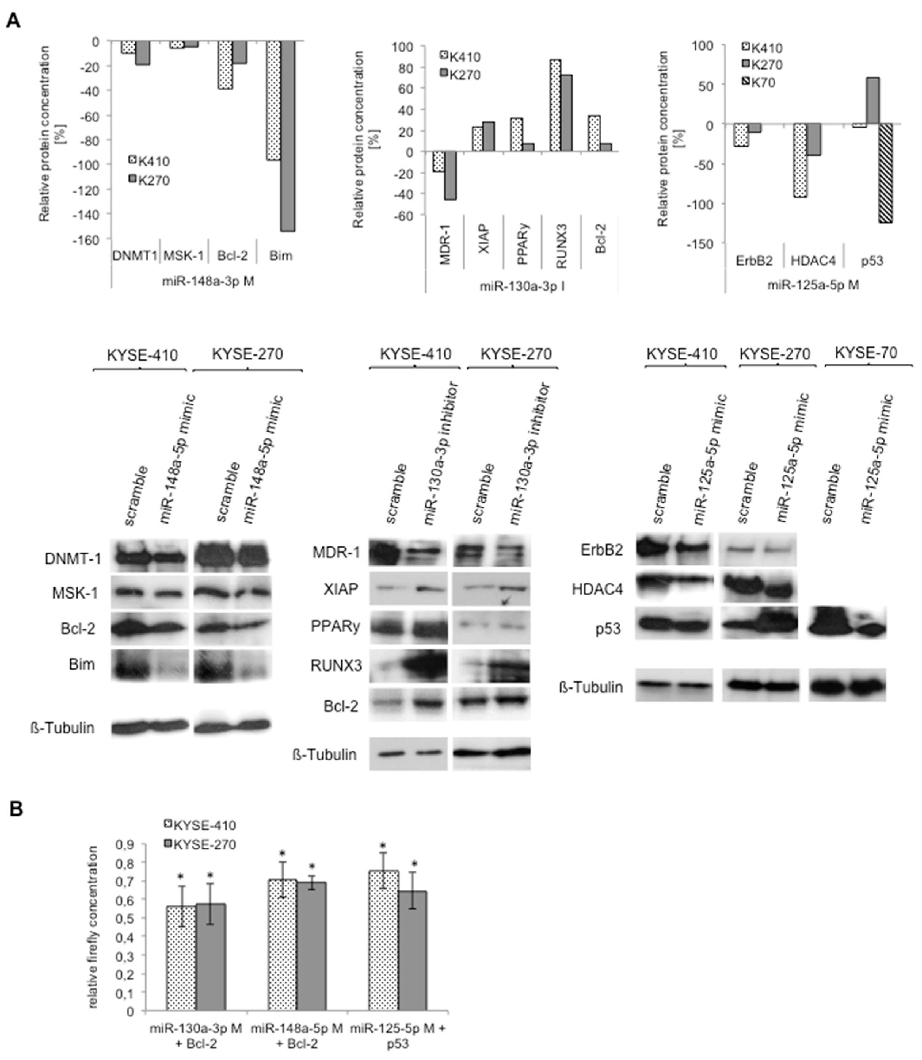 Ijms 20 00921 g003 550