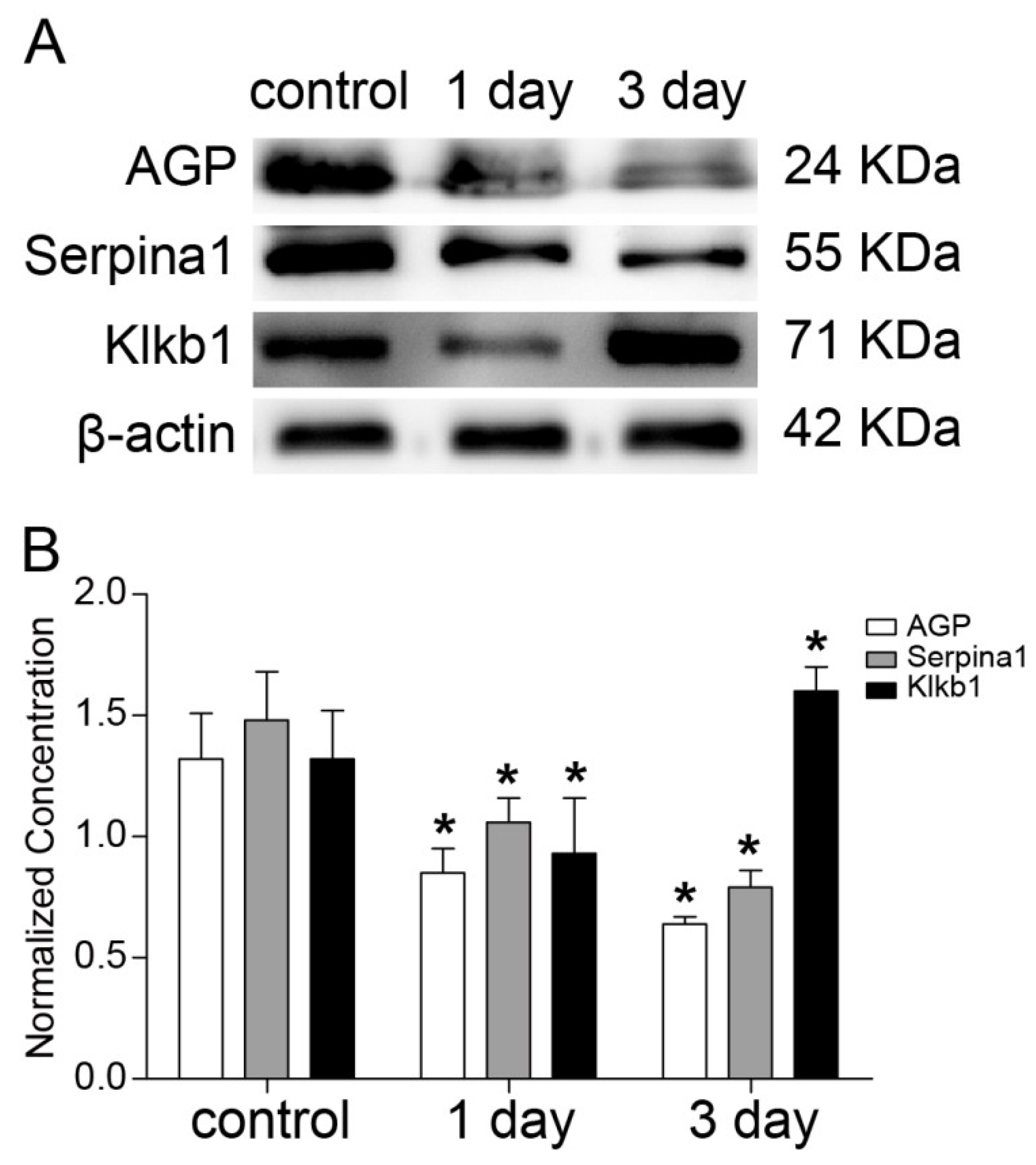Ijms 20 00922 g009 Ijms 20 00922 g009