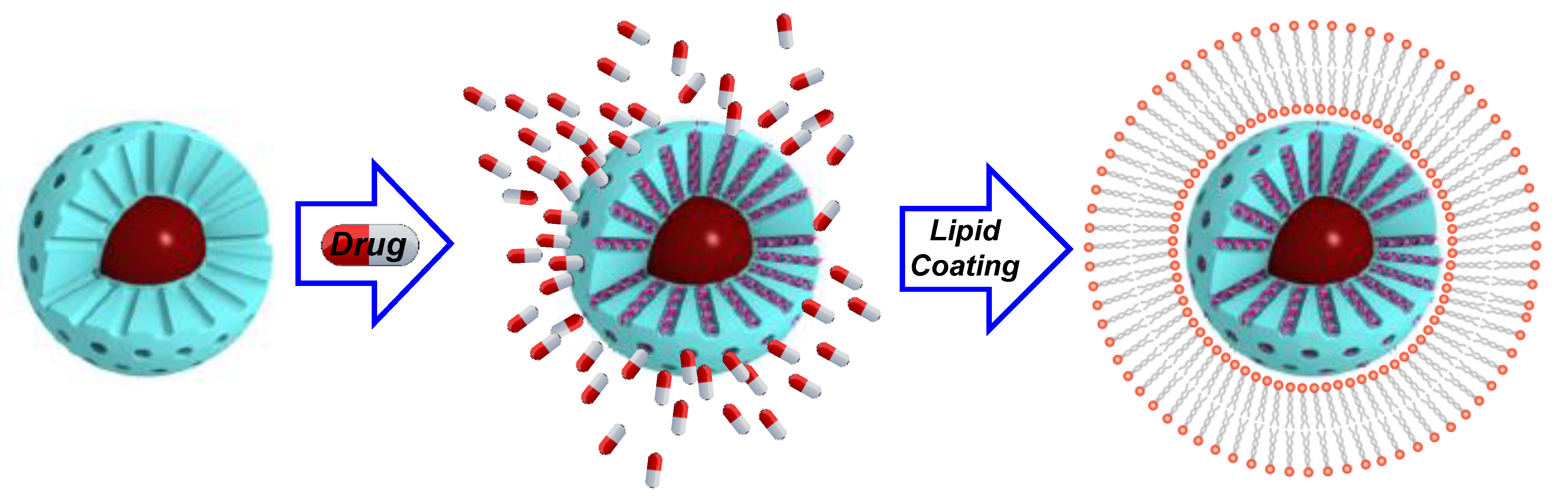 Mesoporous Silica Nanoparticles Modified Inside And Out For Onoff Ph ...