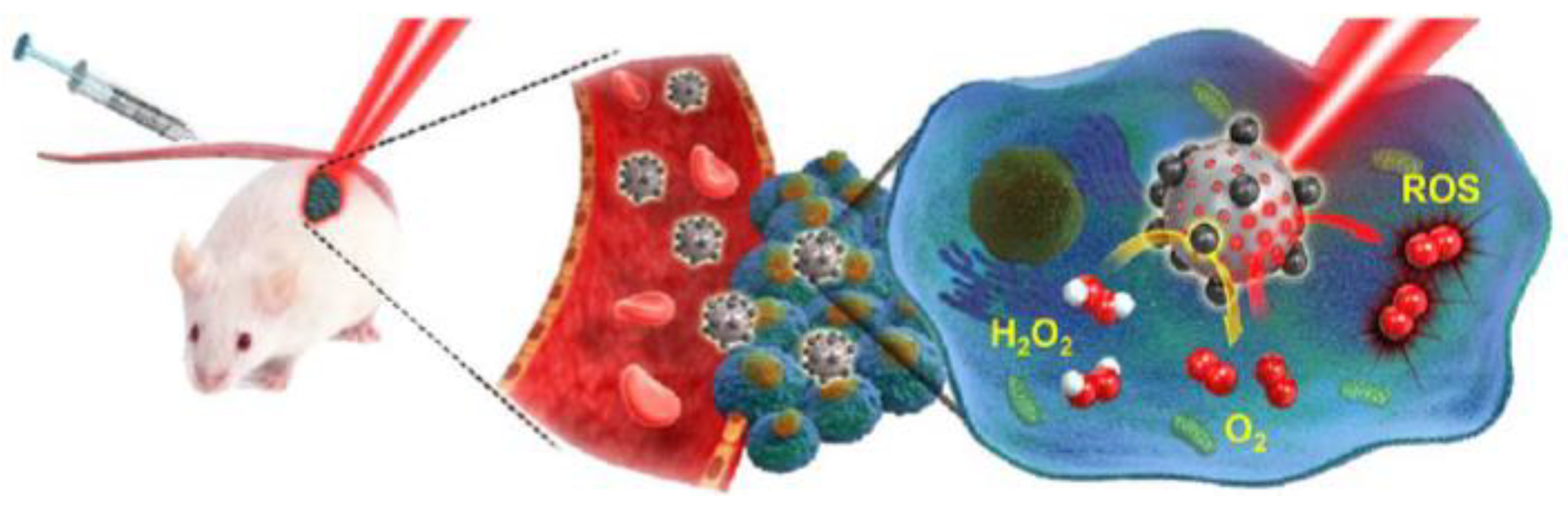 Ijms 20 00929 g008 550