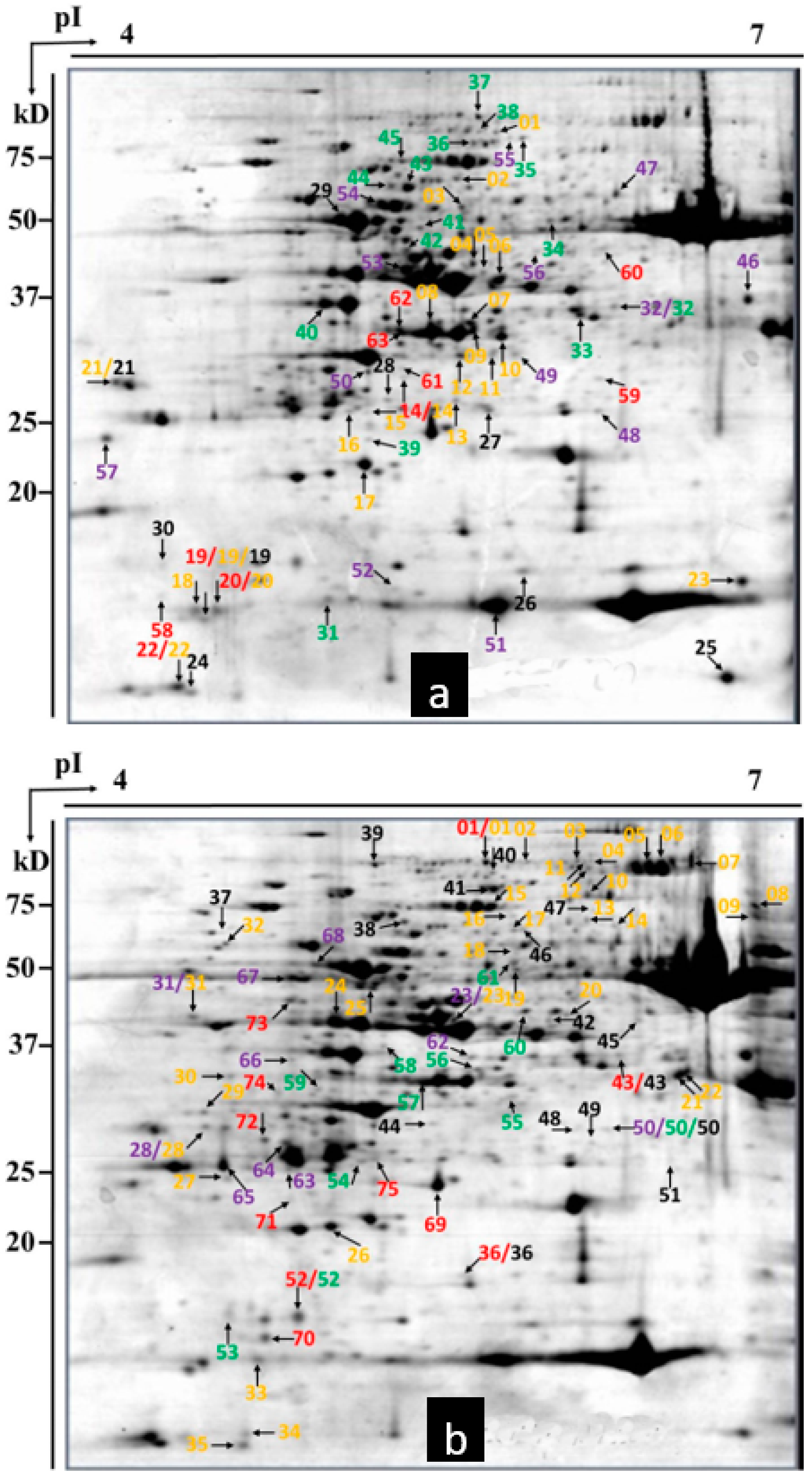 Ijms 20 00933 g005 Ijms 20 00933 g005