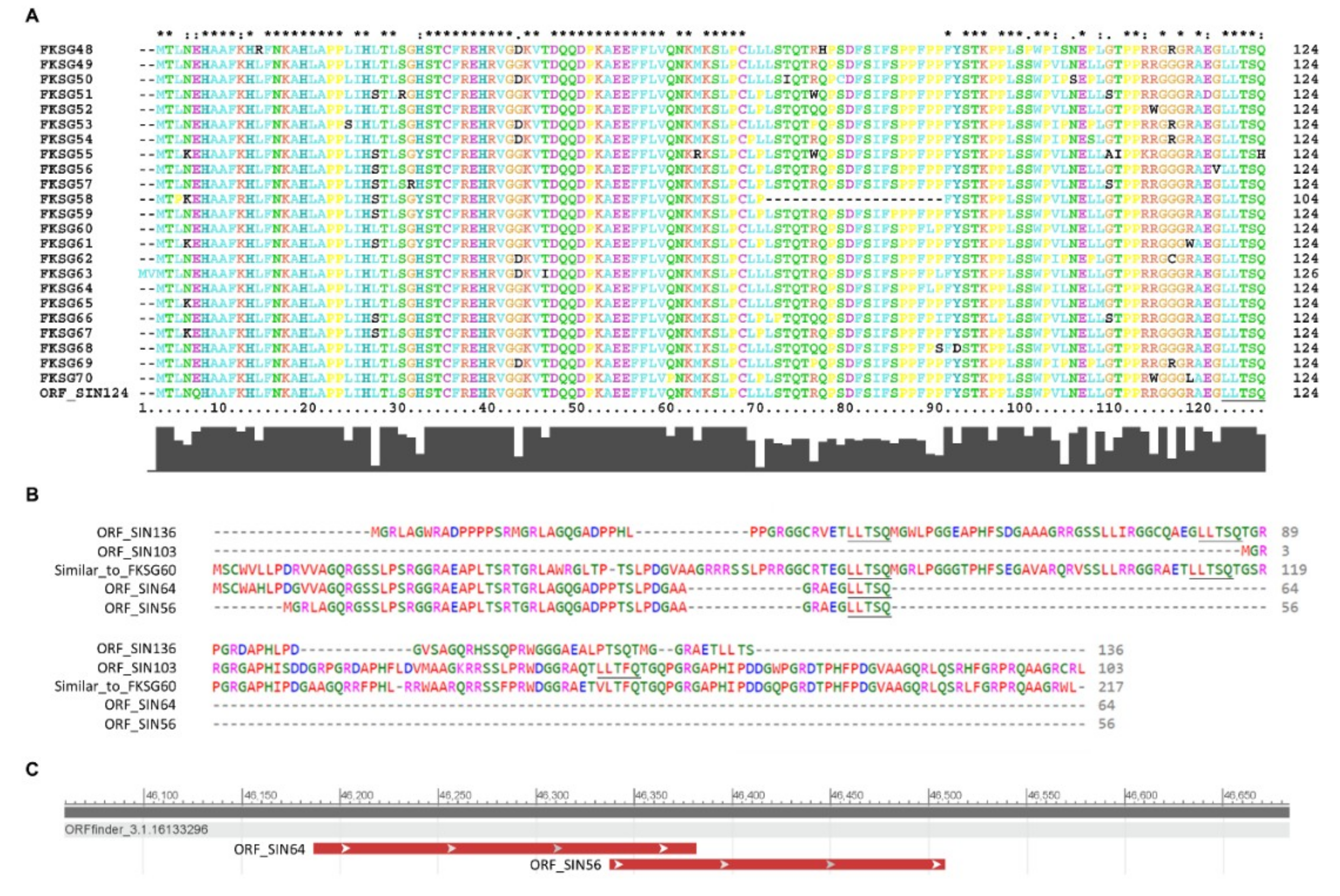 Ijms 20 00937 g008 Ijms 20 00937 g008