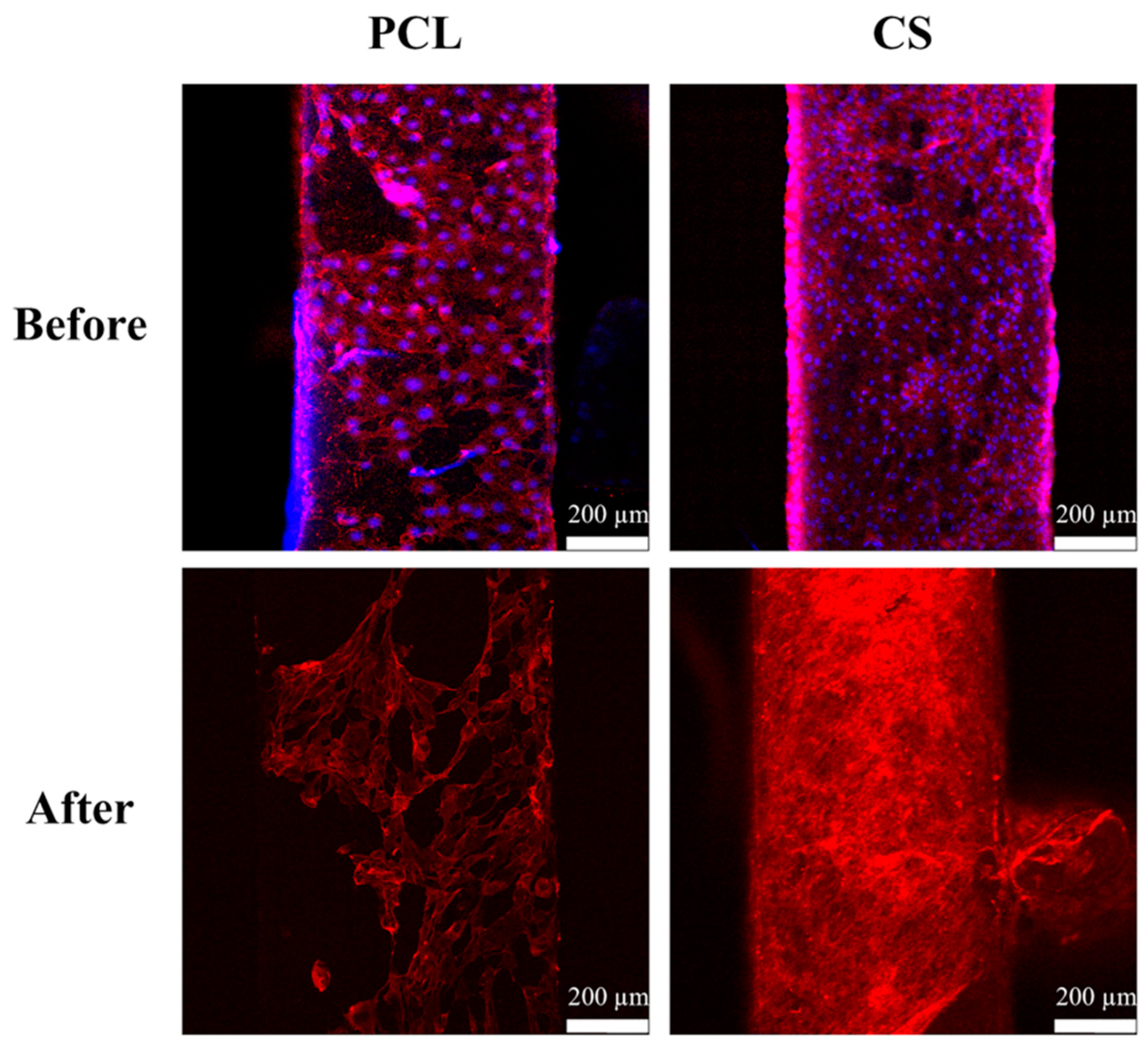 Ijms 20 00942 g003 Ijms 20 00942 g003