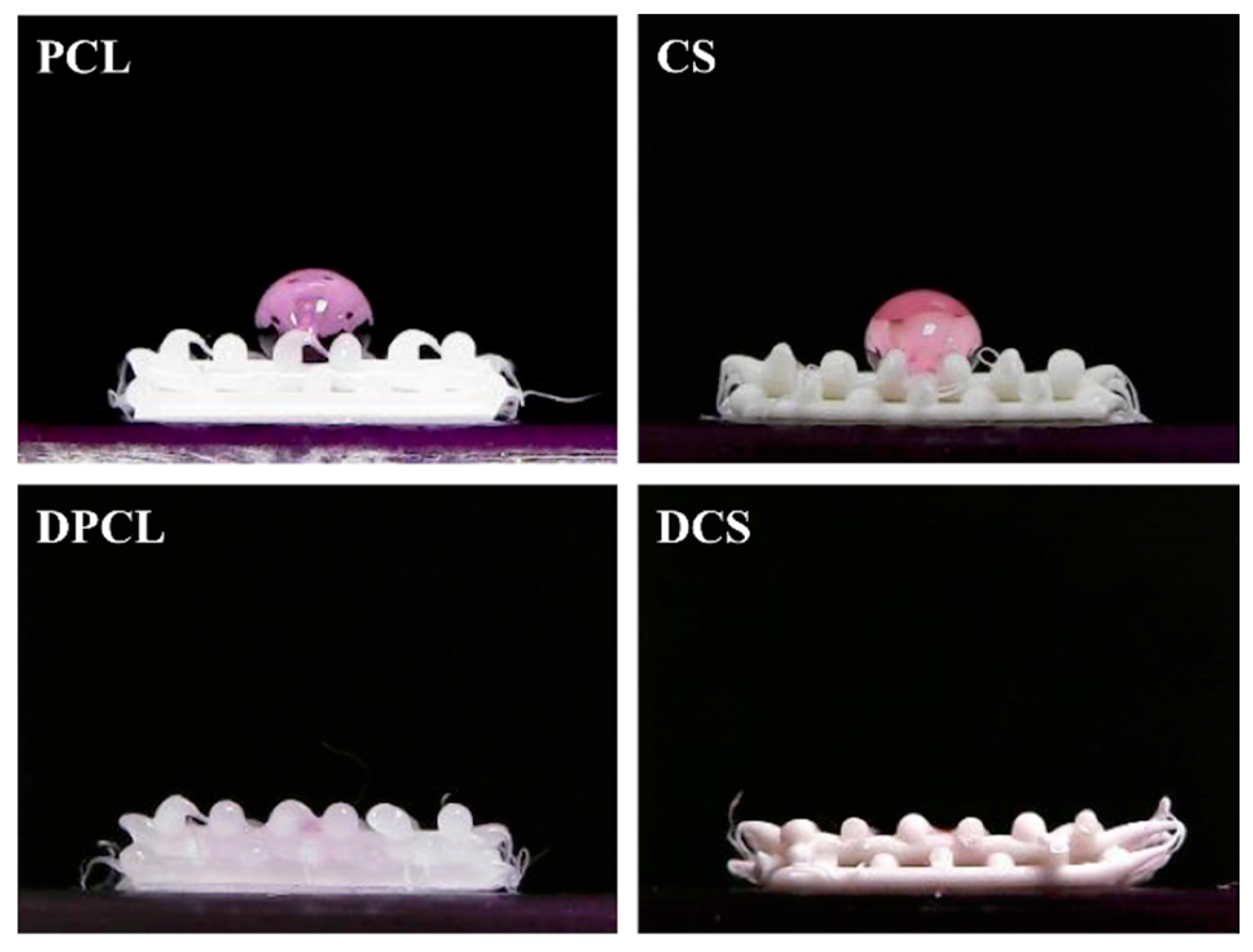 Ijms 20 00942 g005 Ijms 20 00942 g005