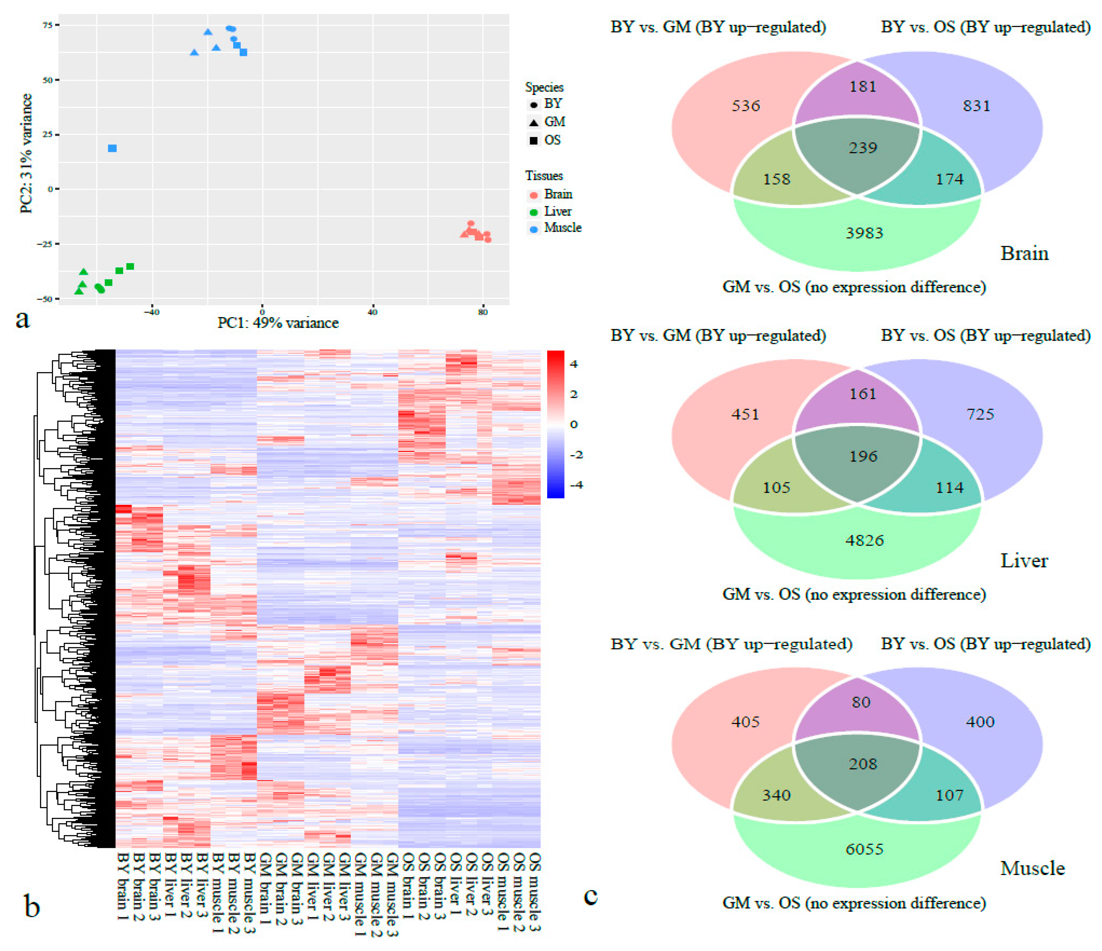 Ijms 20 00944 g004 Ijms 20 00944 g004