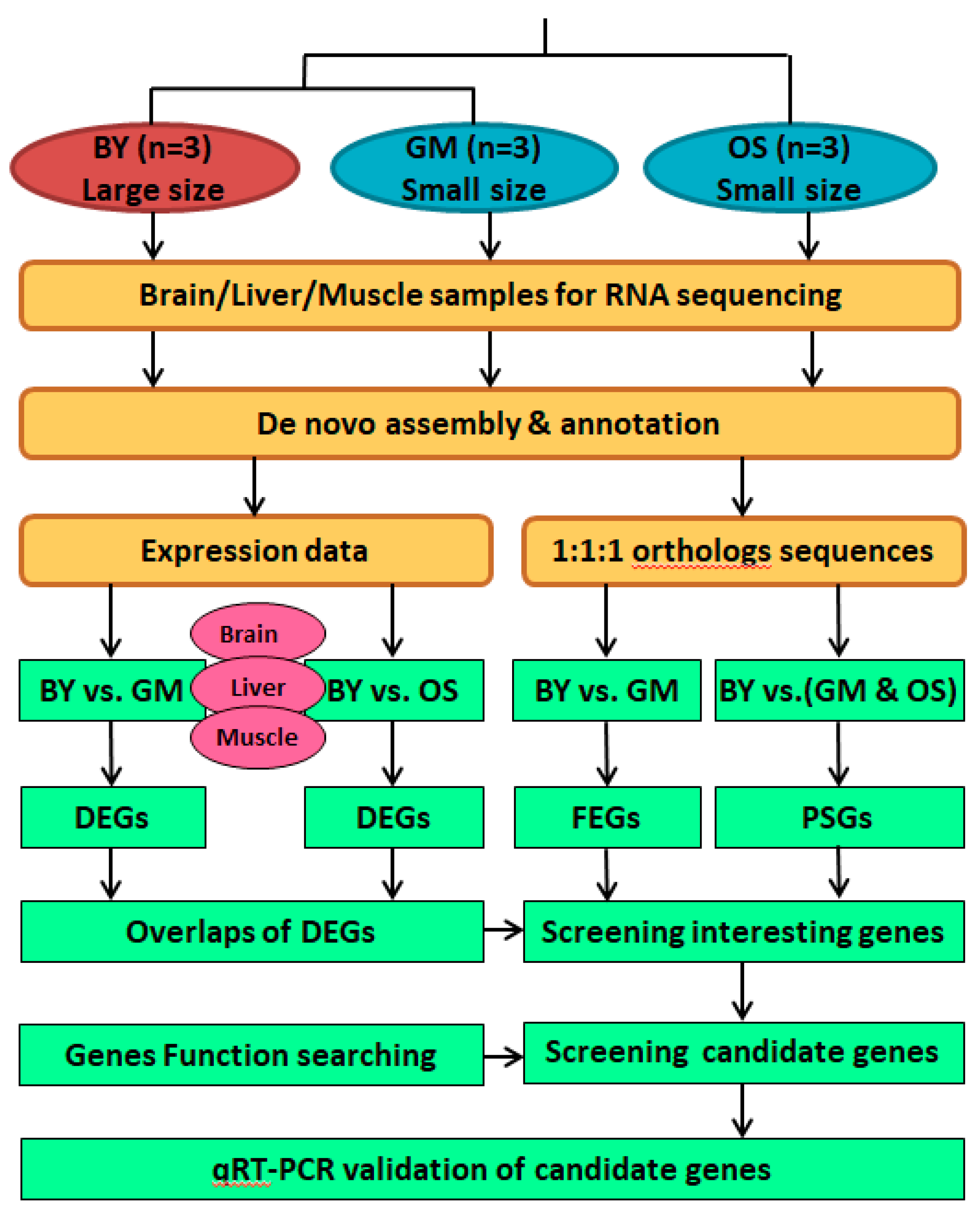 Ijms 20 00944 g006 Ijms 20 00944 g006