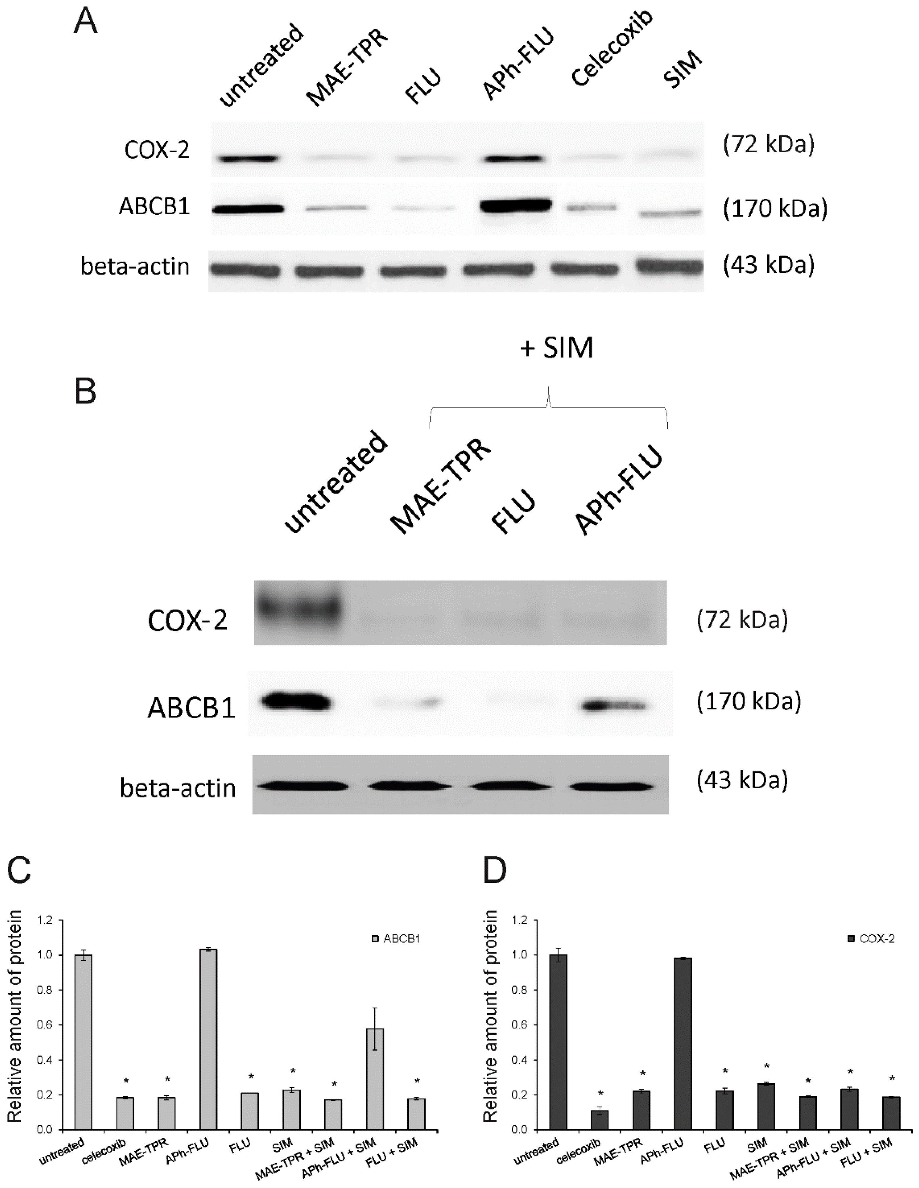 Ijms 20 00955 g004 Ijms 20 00955 g004