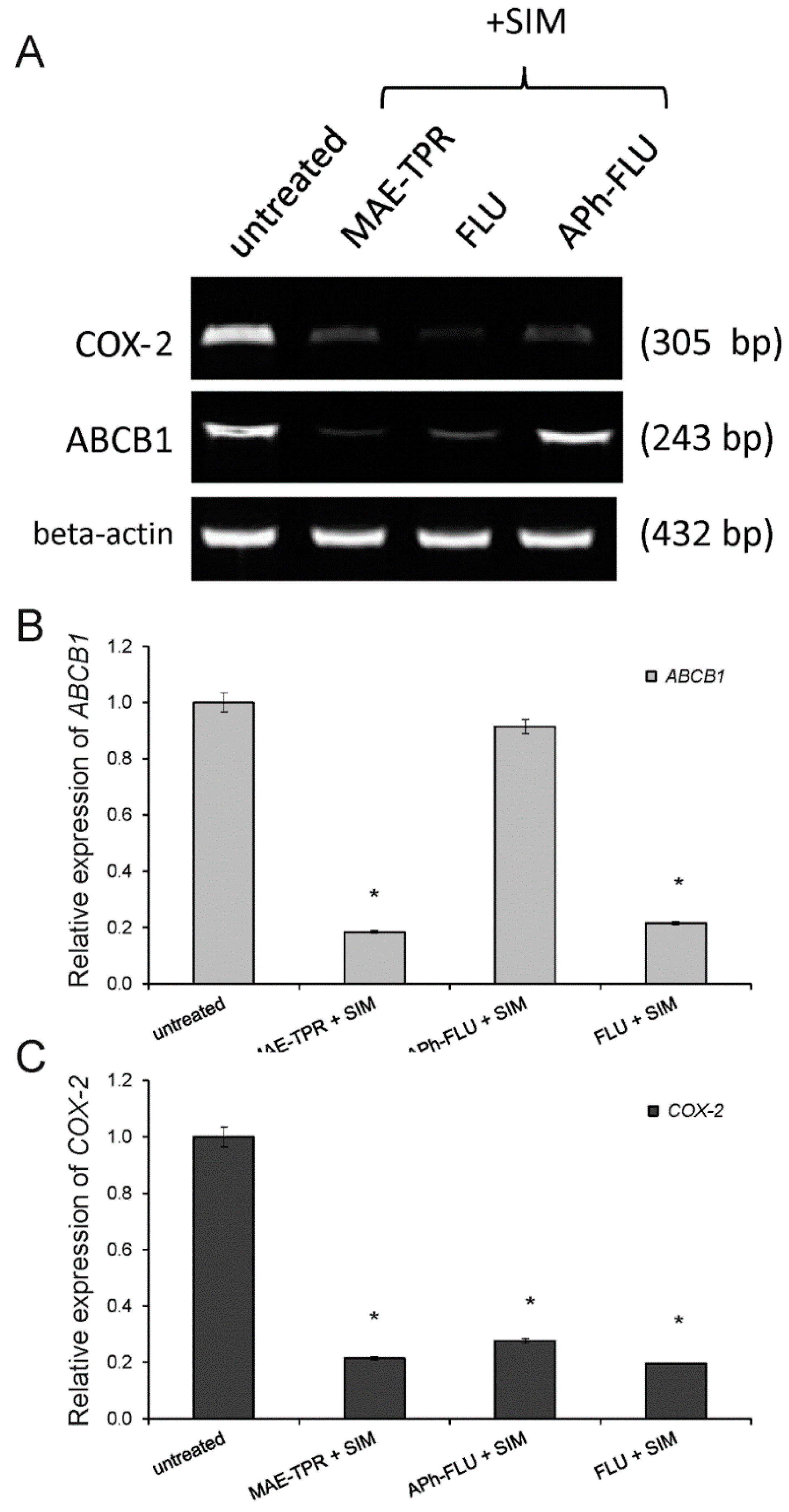 Ijms 20 00955 g005 Ijms 20 00955 g005