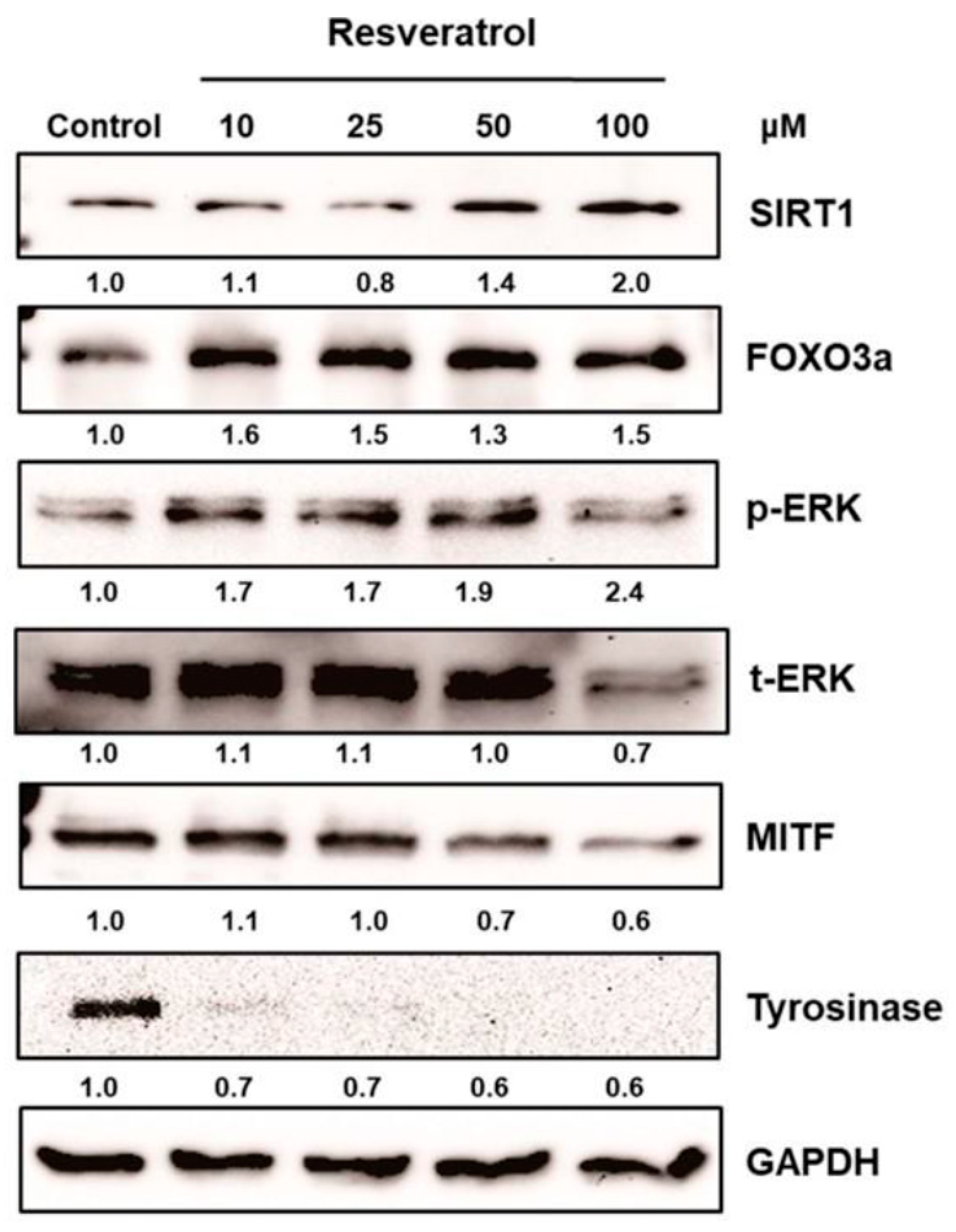 Ijms 20 00956 g002