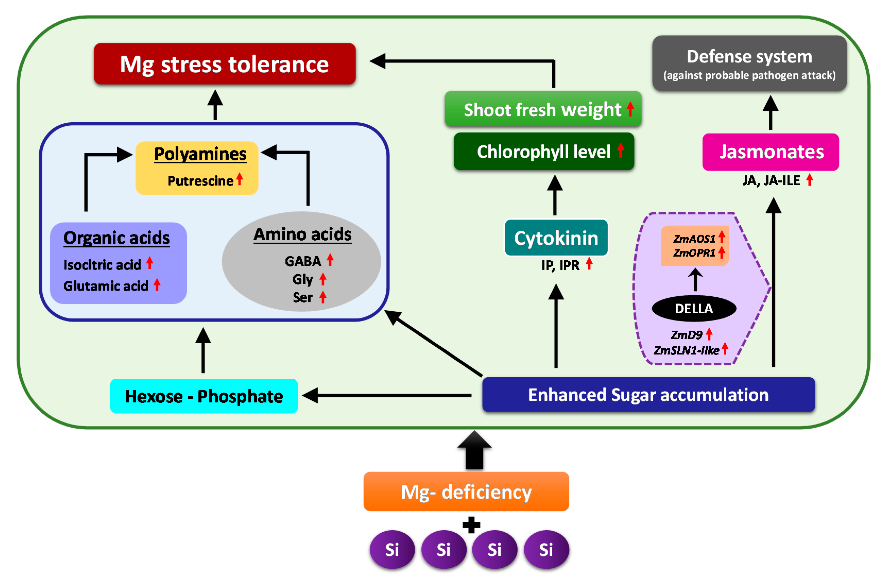 Ijms 20 00969 g009 550