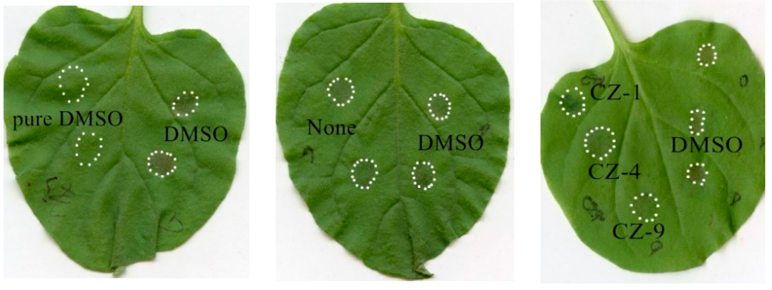 Ijms 20 00971 g003 Ijms 20 00971 g003