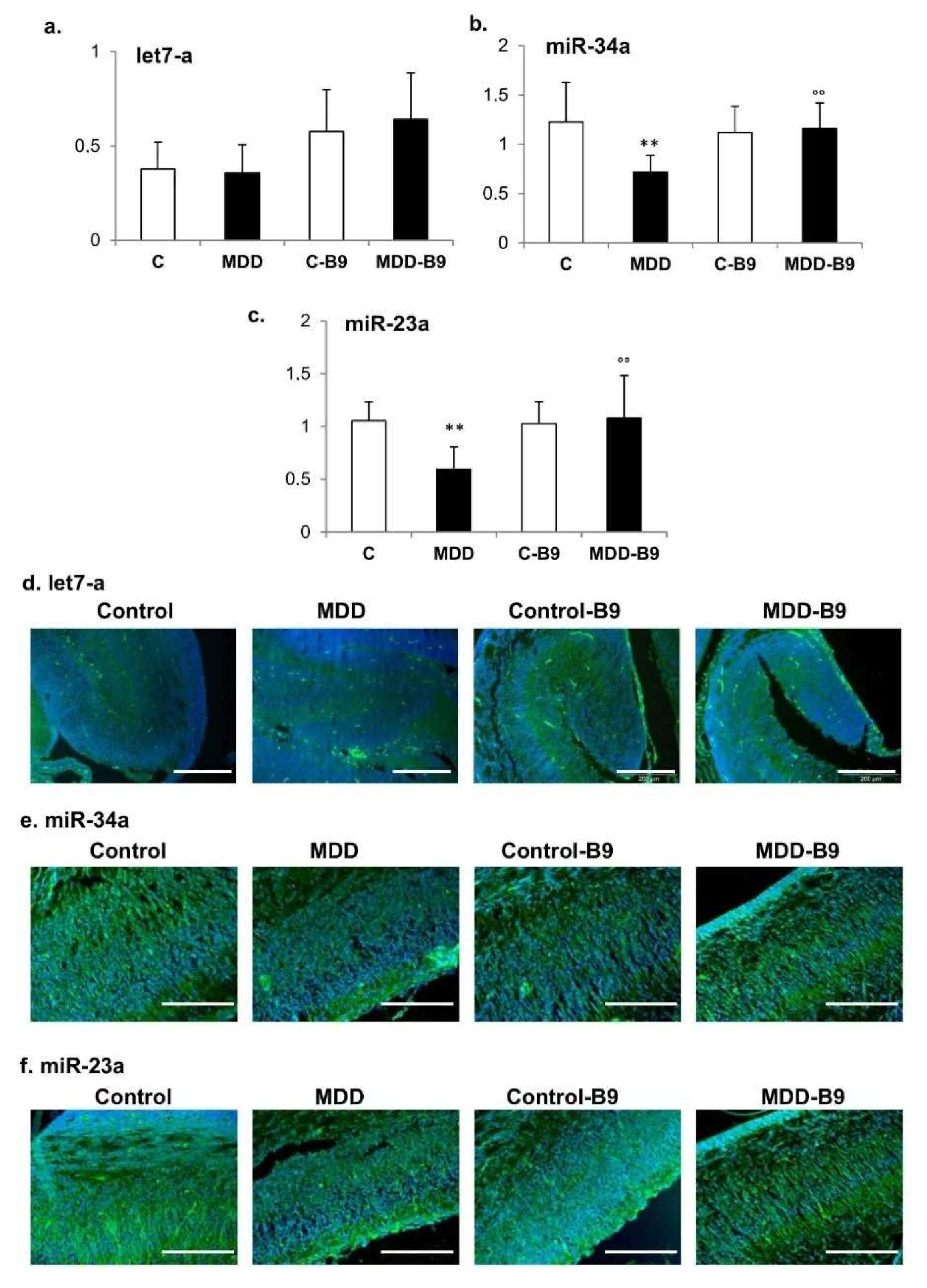 Ijms 20 00973 g005
