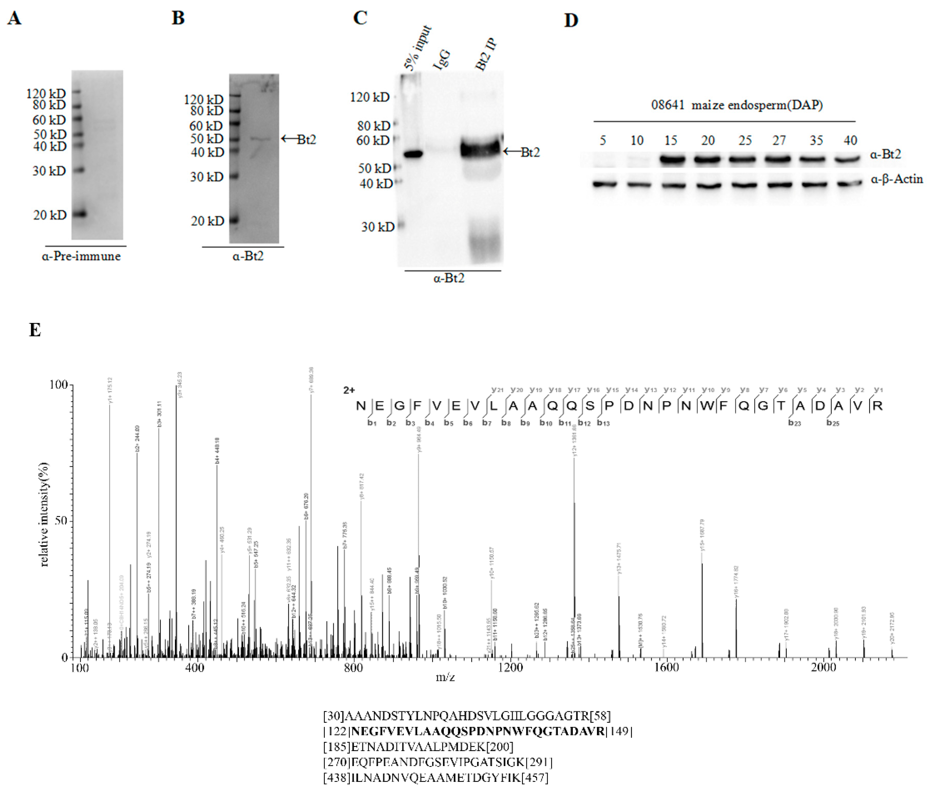 Ijms 20 00986 g003 Ijms 20 00986 g003