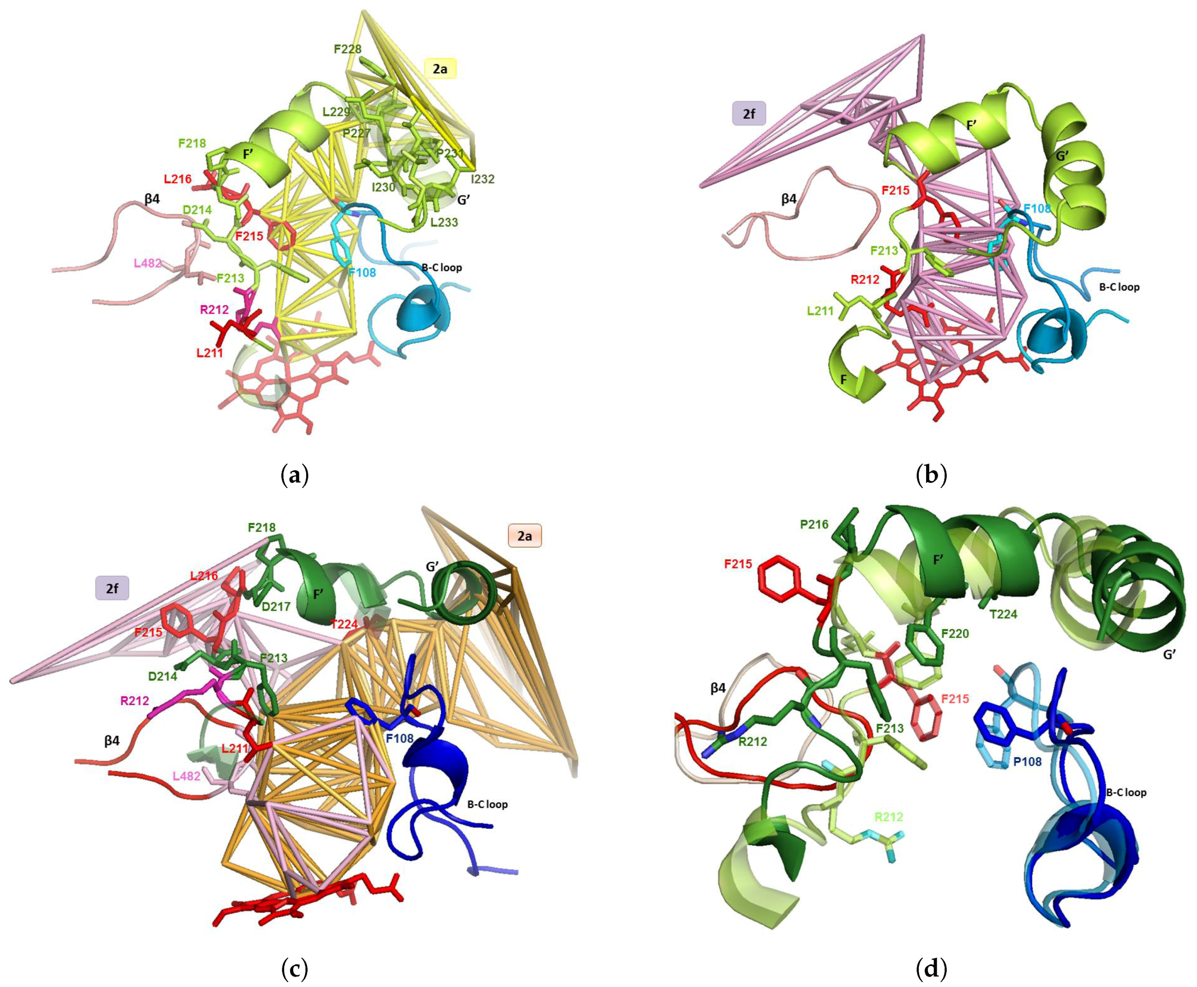 Ijms 20 00987 g003 Ijms 20 00987 g003
