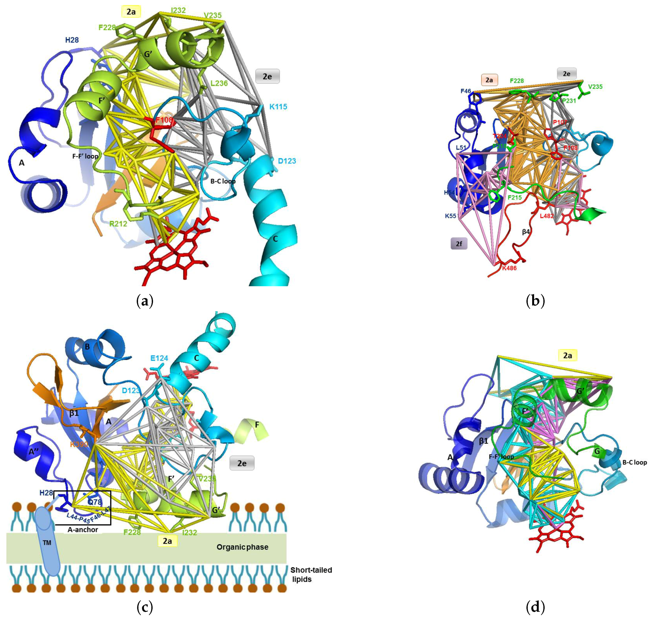 Ijms 20 00987 g006 Ijms 20 00987 g006