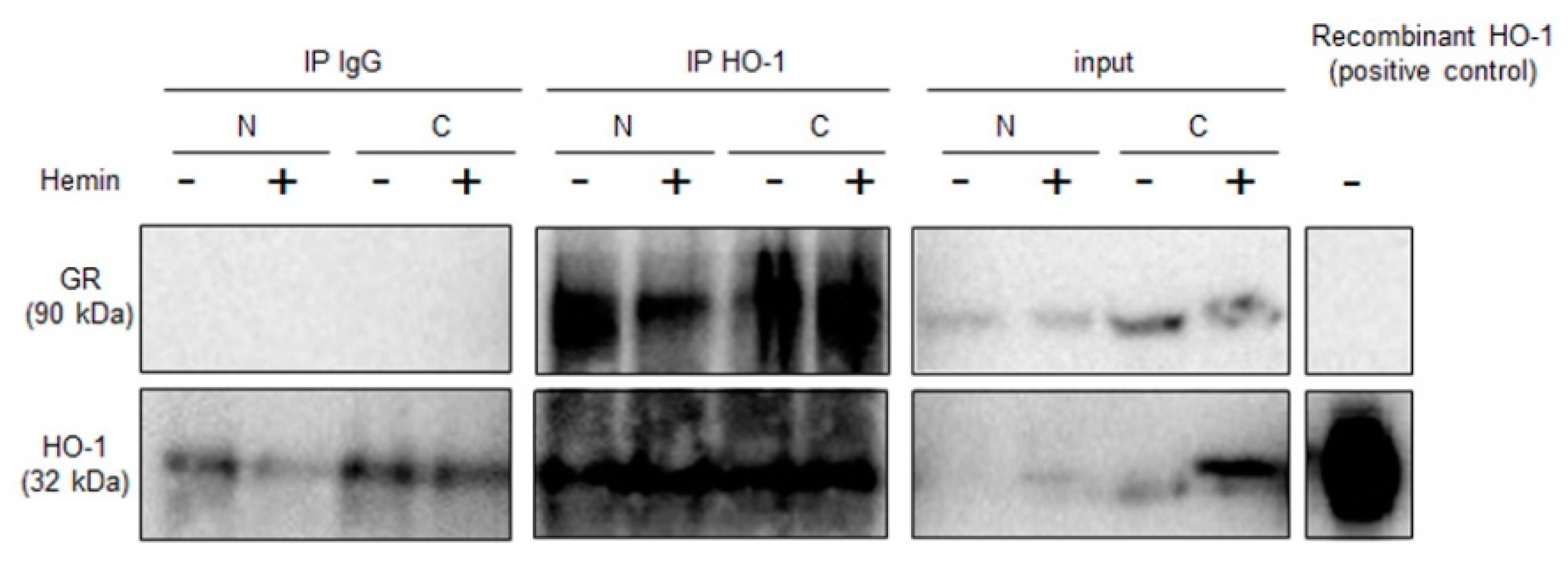 Ijms 20 01006 g002 Ijms 20 01006 g002