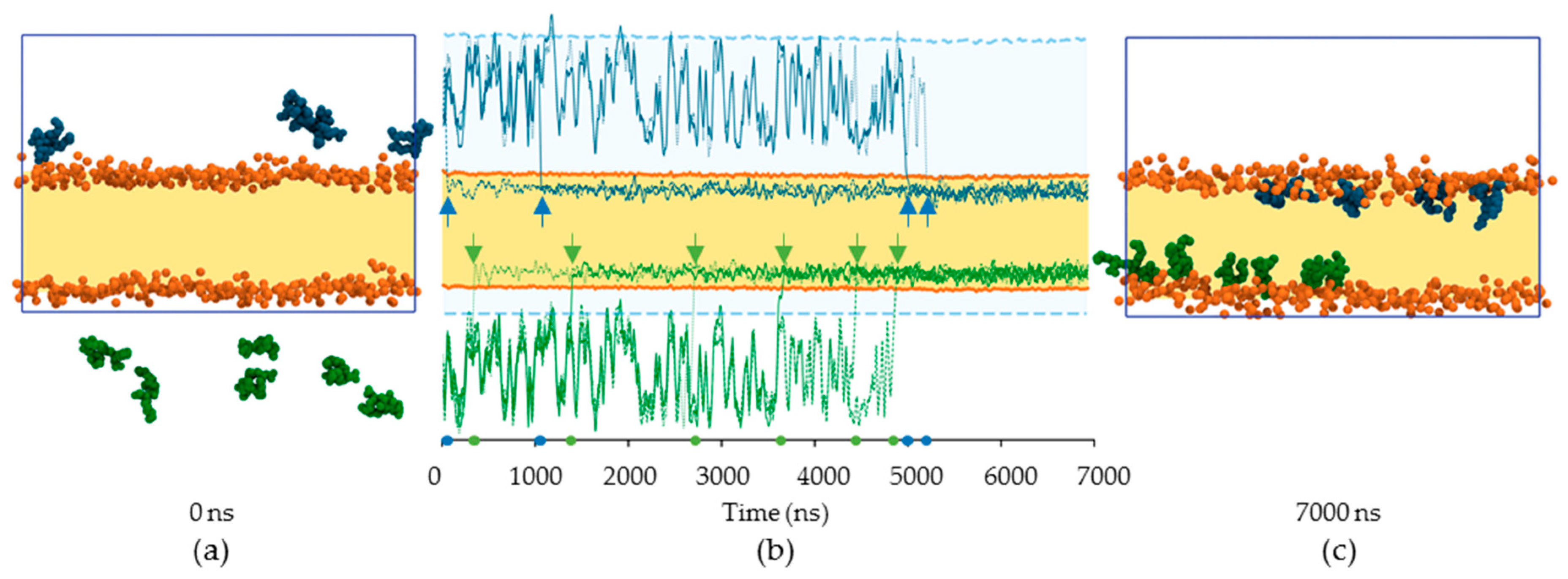 Ijms 20 01009 g004