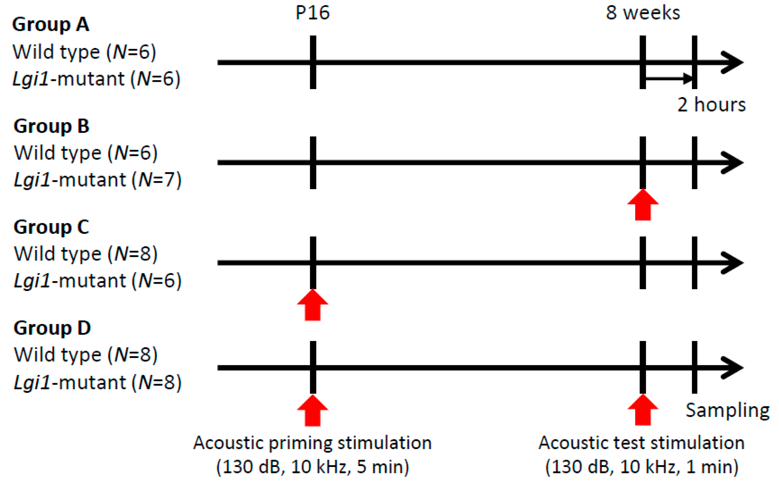 Ijms 20 01013 g001 550