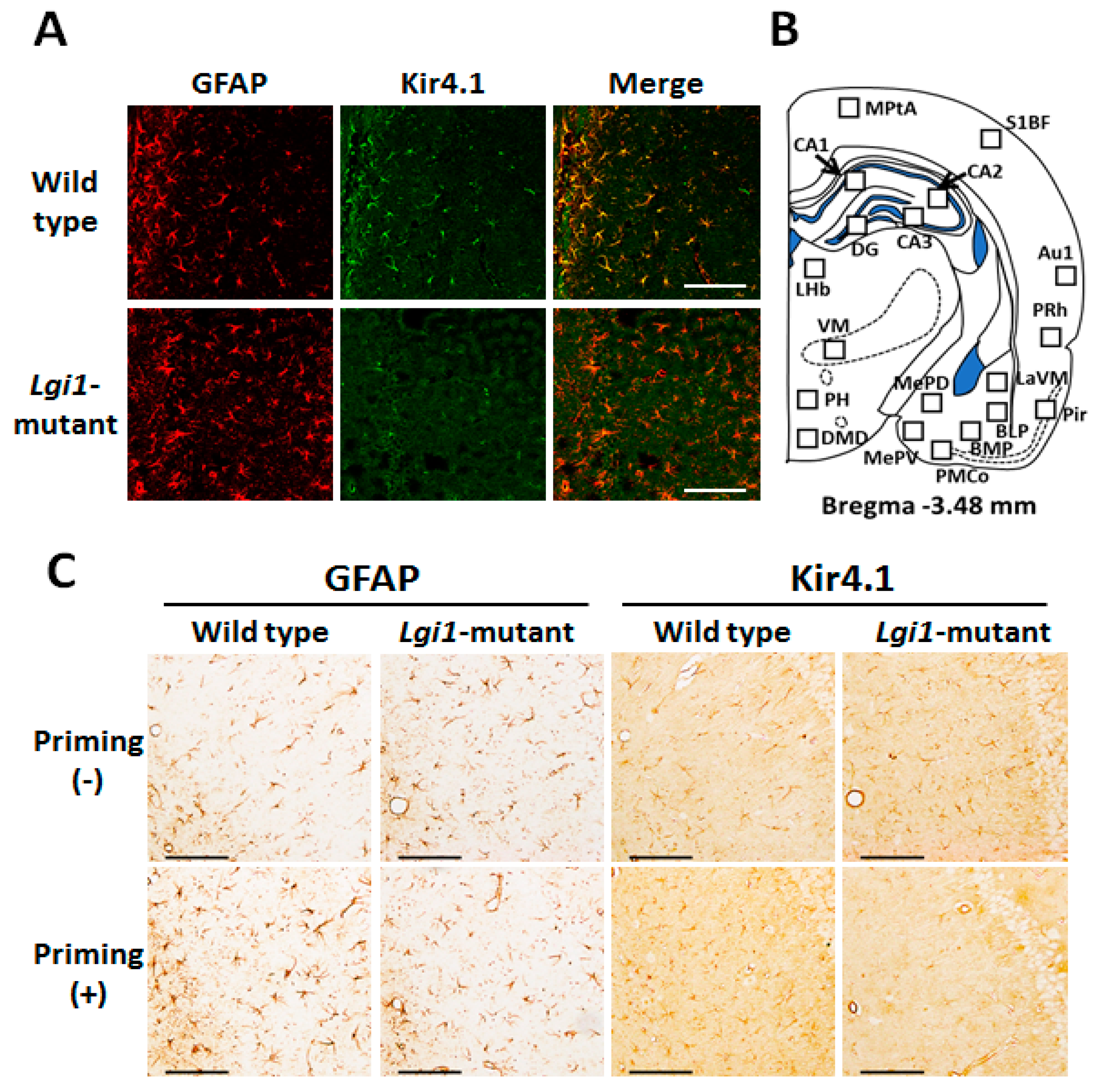 Ijms 20 01013 g002 550