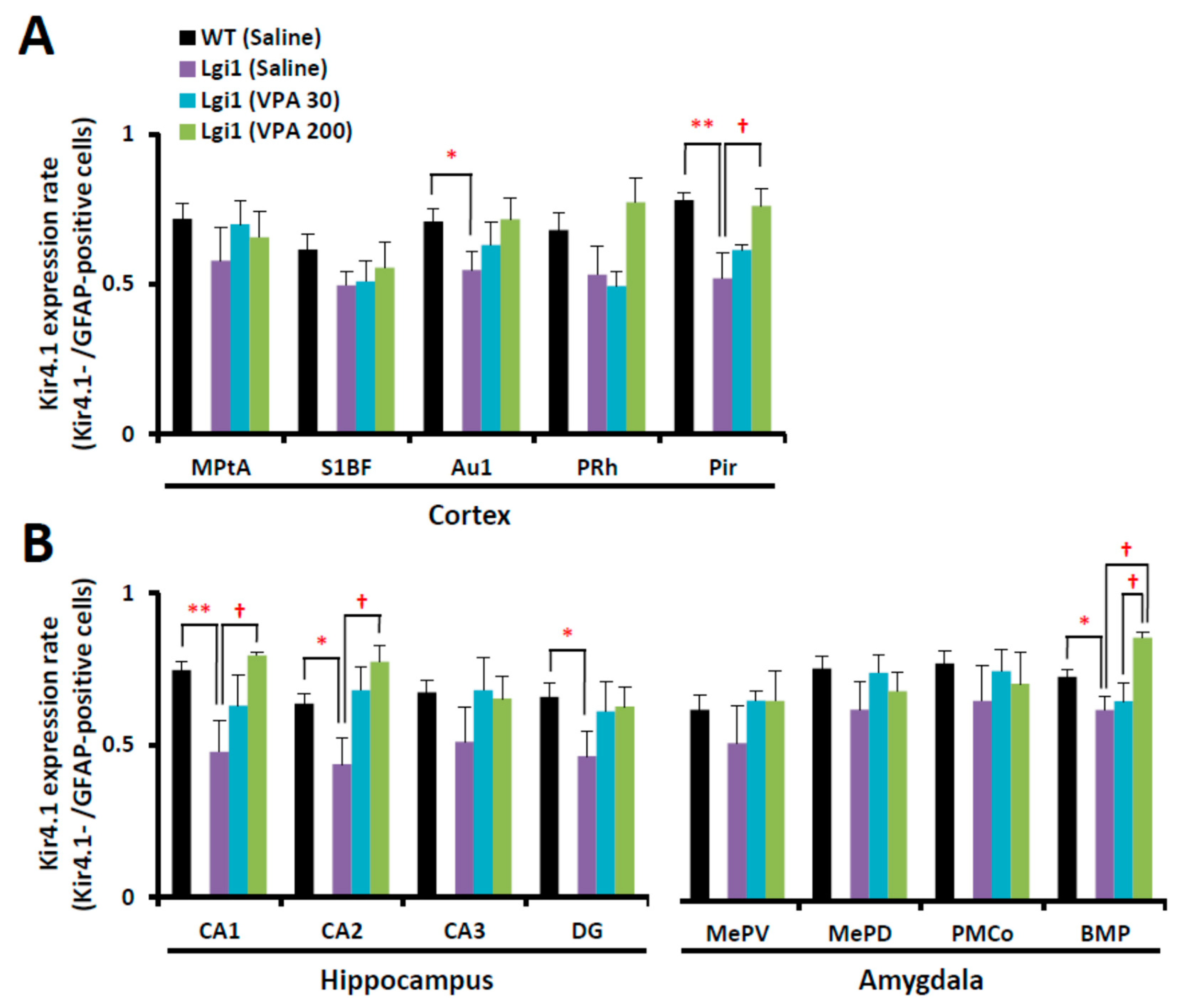Ijms 20 01013 g007 550