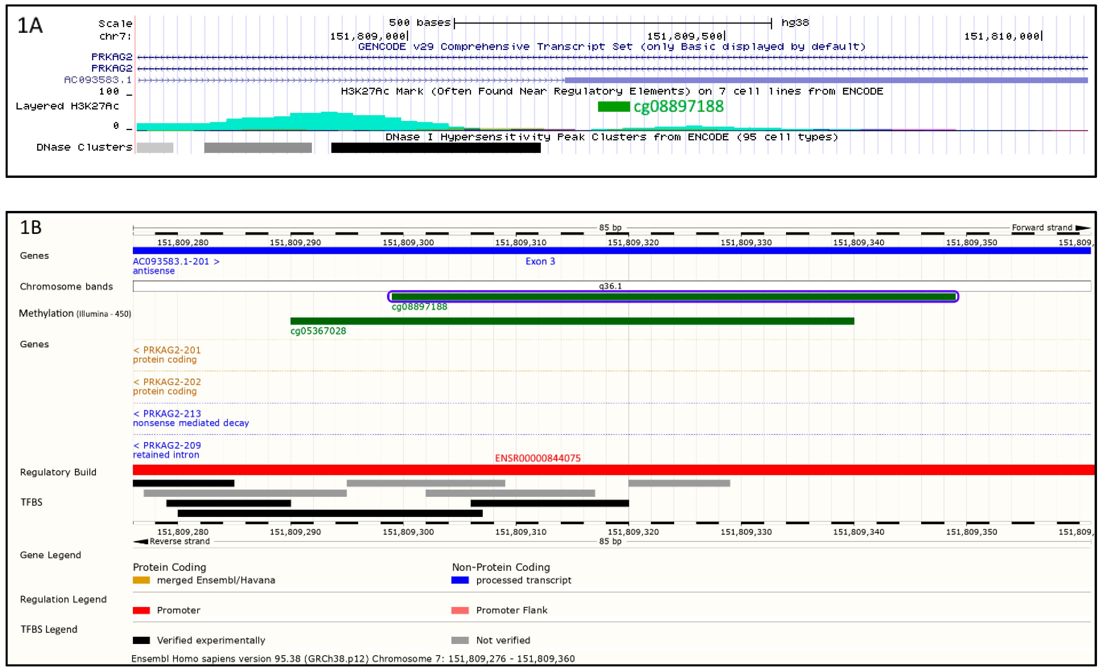 Ijms 20 01014 g001 Ijms 20 01014 g001