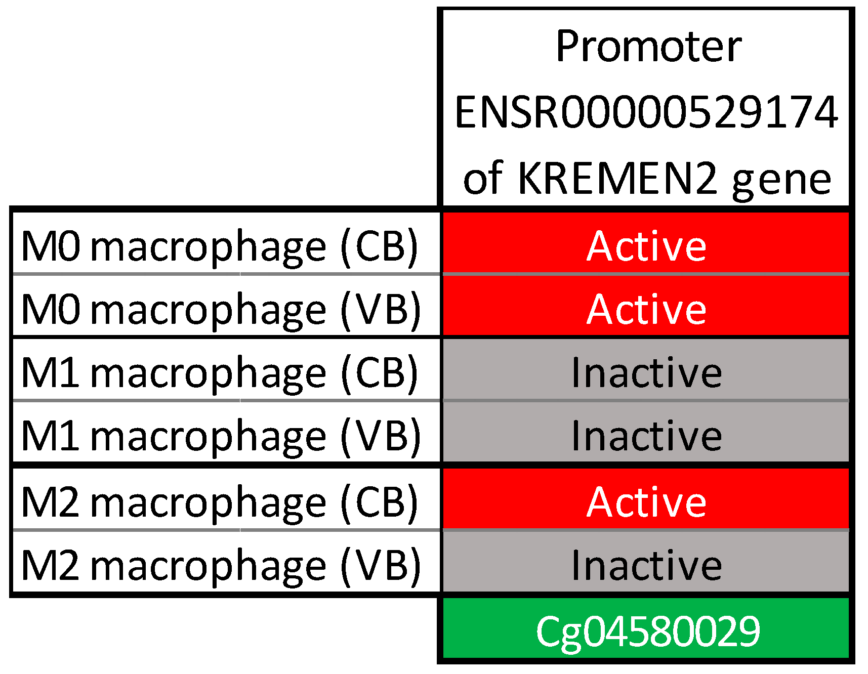 Ijms 20 01014 g003 Ijms 20 01014 g003