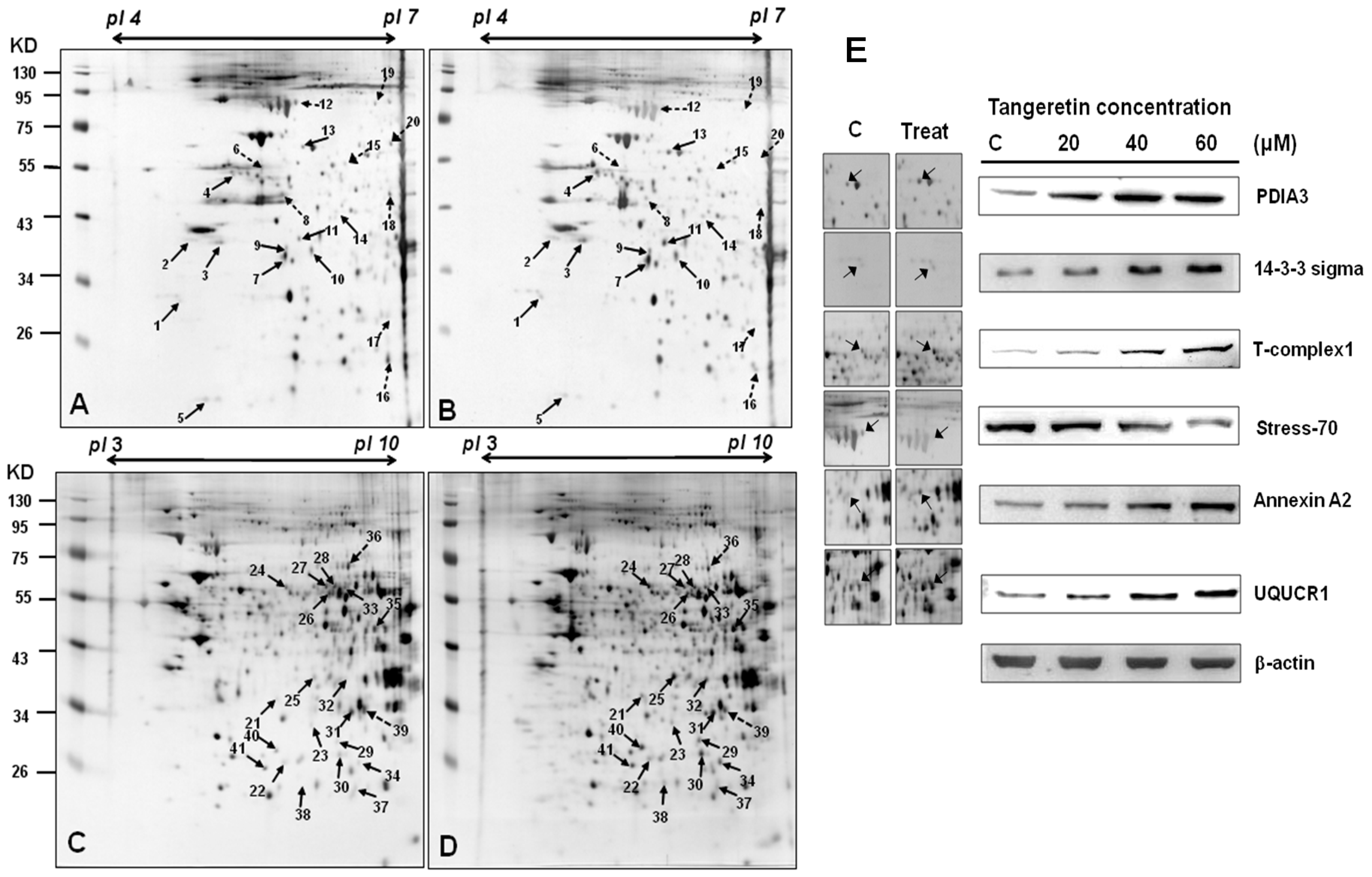 Ijms 20 01017 g004