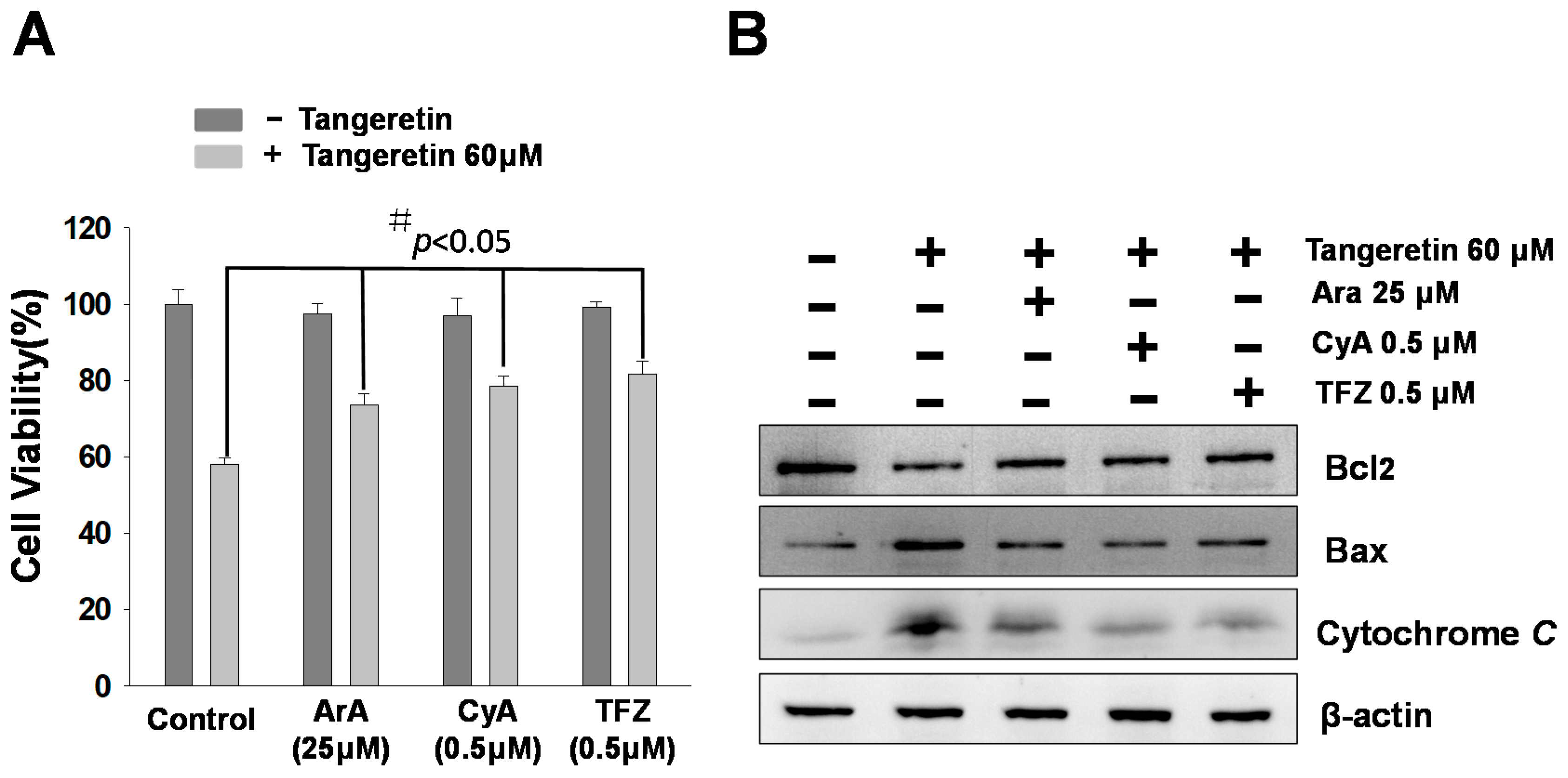 Ijms 20 01017 g006