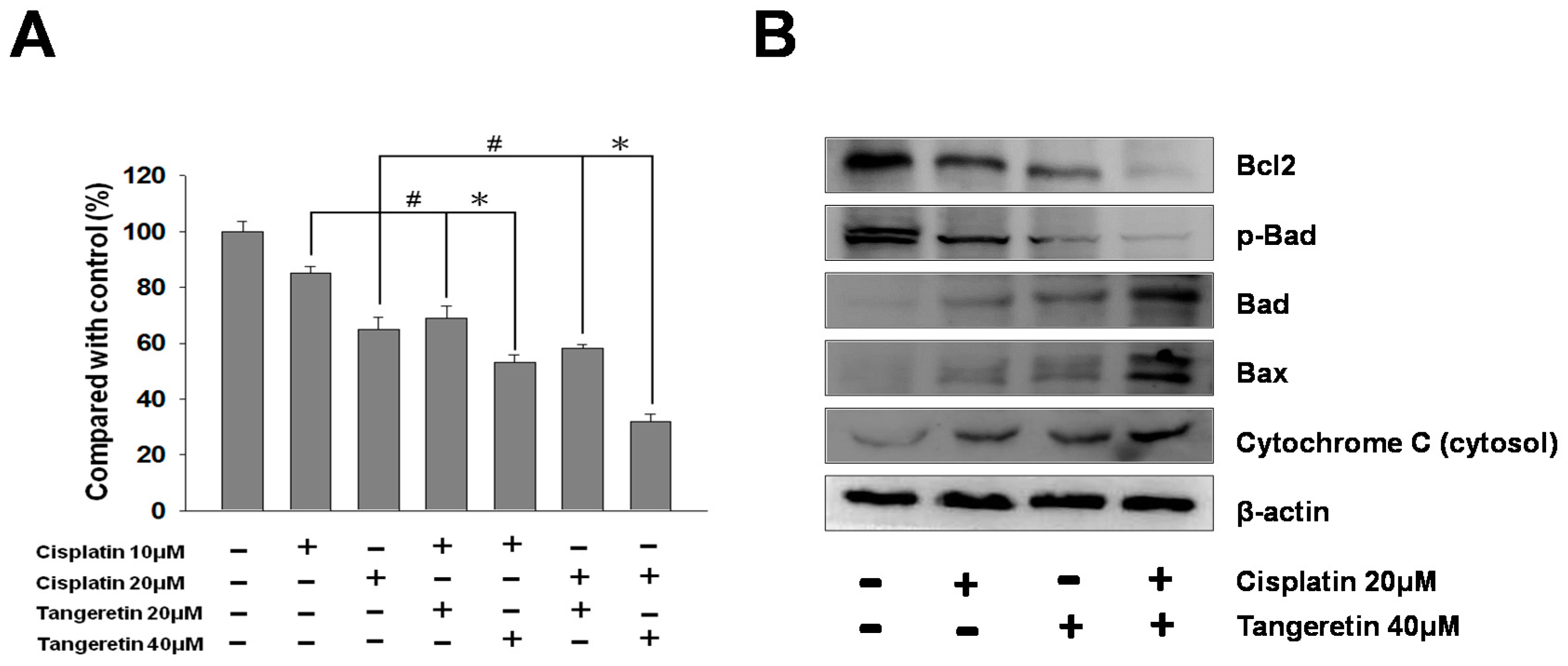 Ijms 20 01017 g007