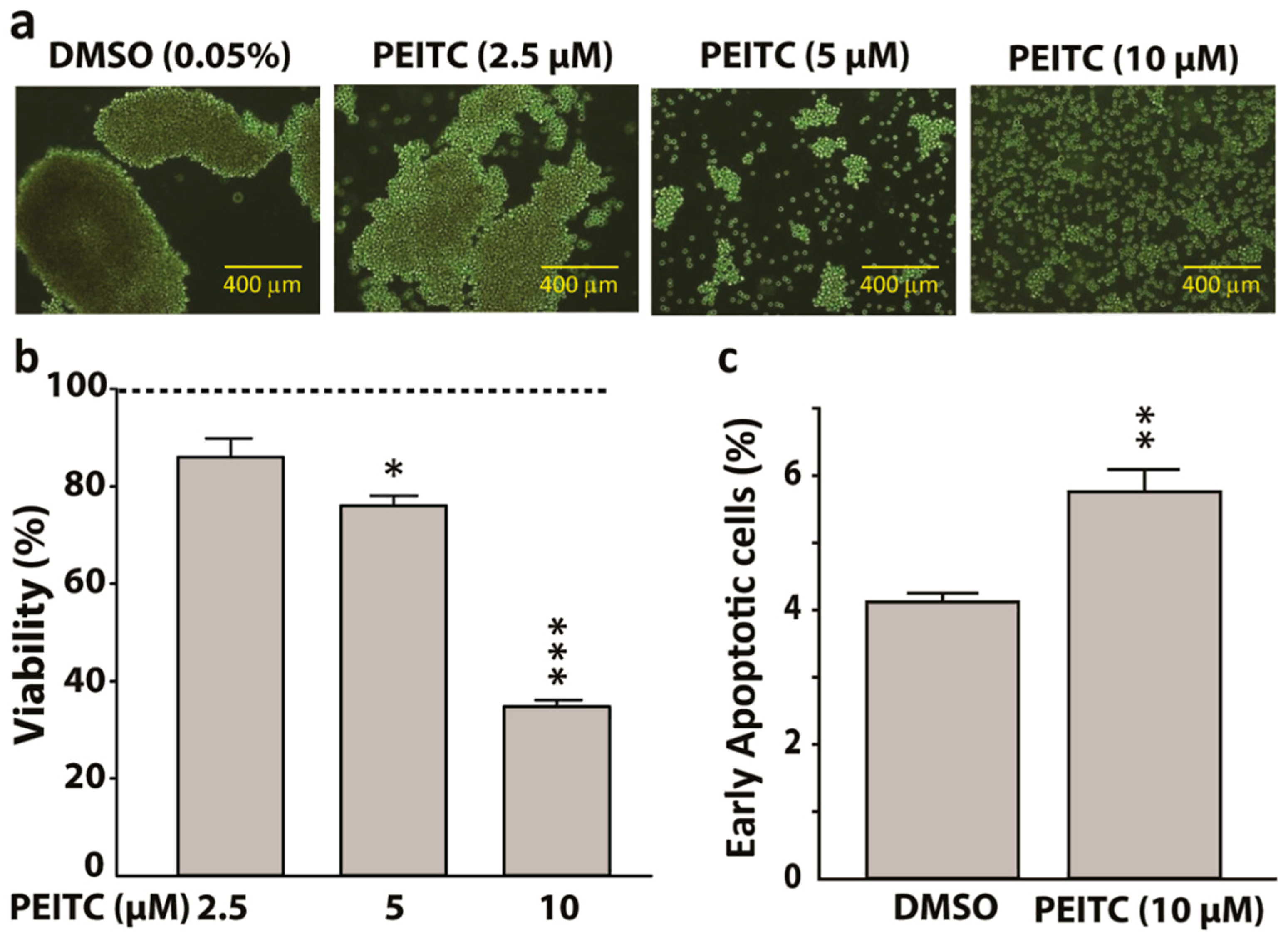 Ijms 20 01027 g004