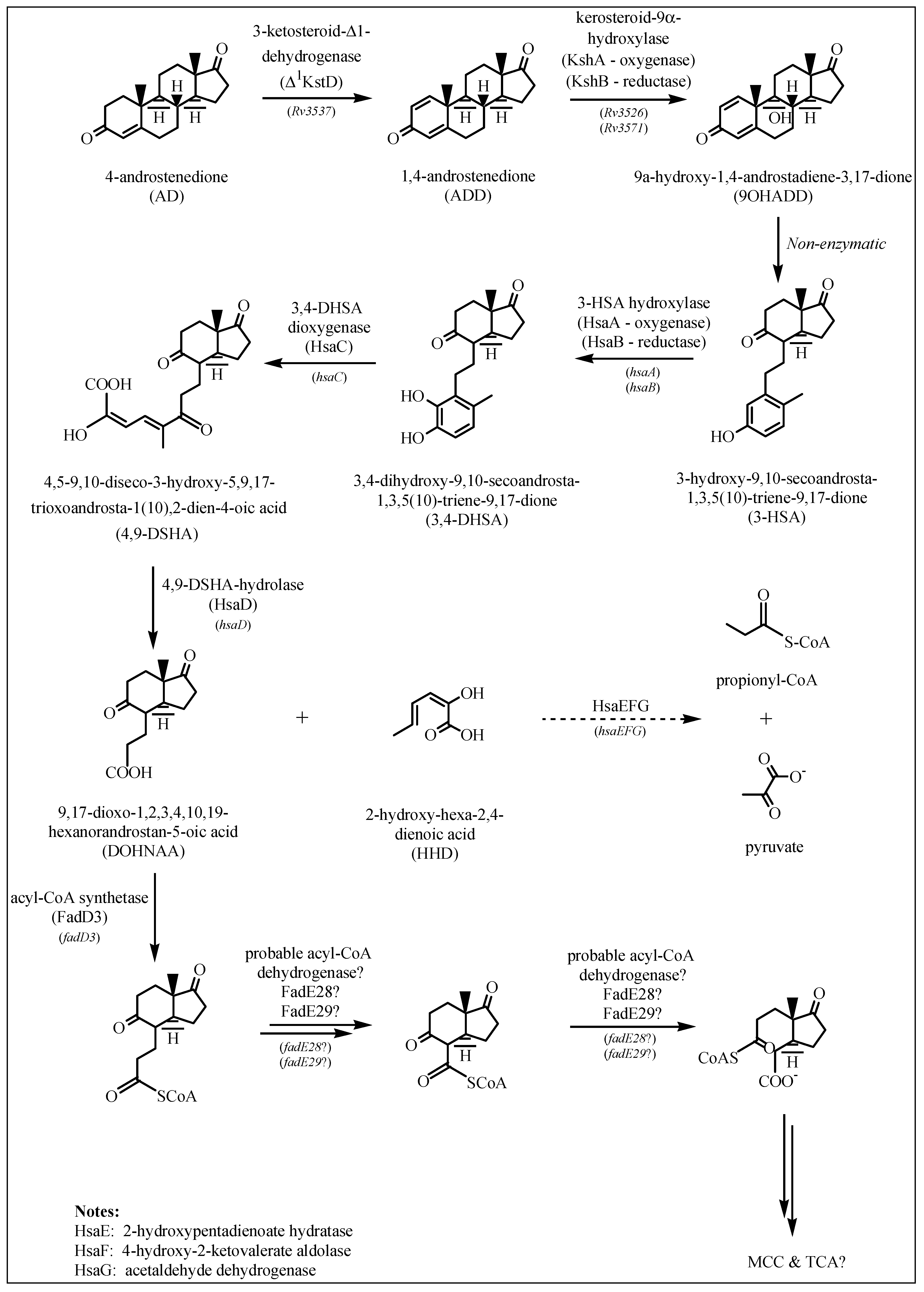 Ijms 20 01032 g002 Ijms 20 01032 g002