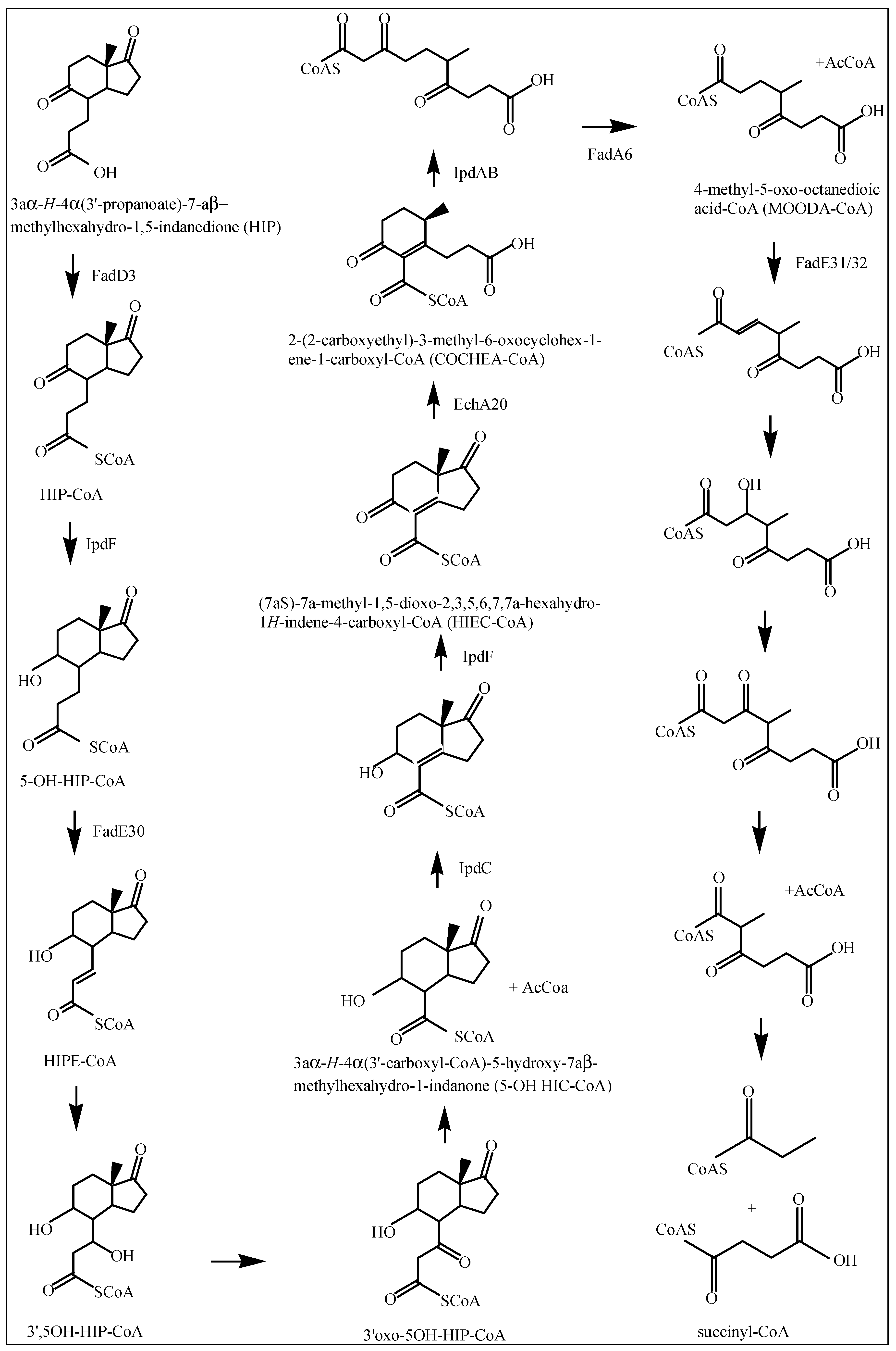 Ijms 20 01032 g003 Ijms 20 01032 g003