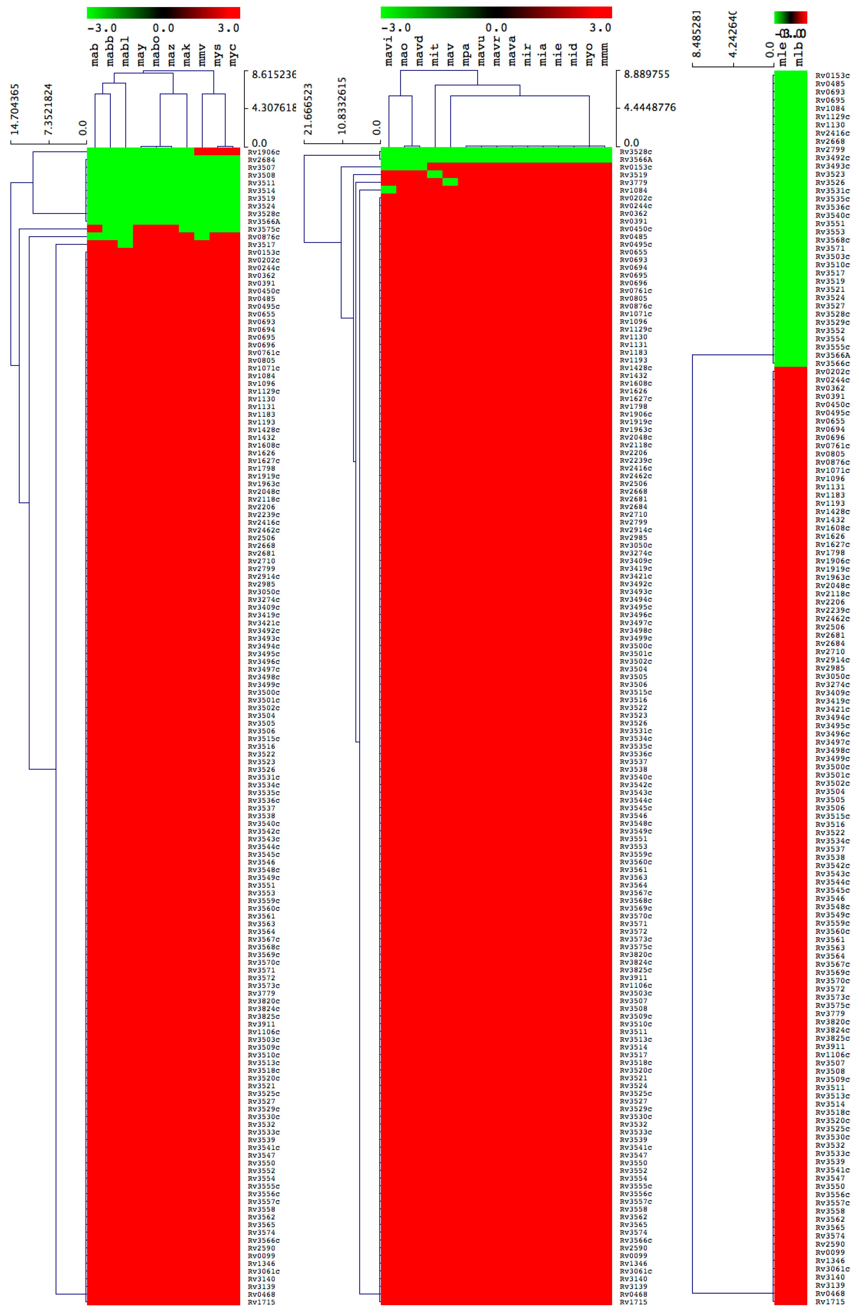 Ijms 20 01032 g005 Ijms 20 01032 g005