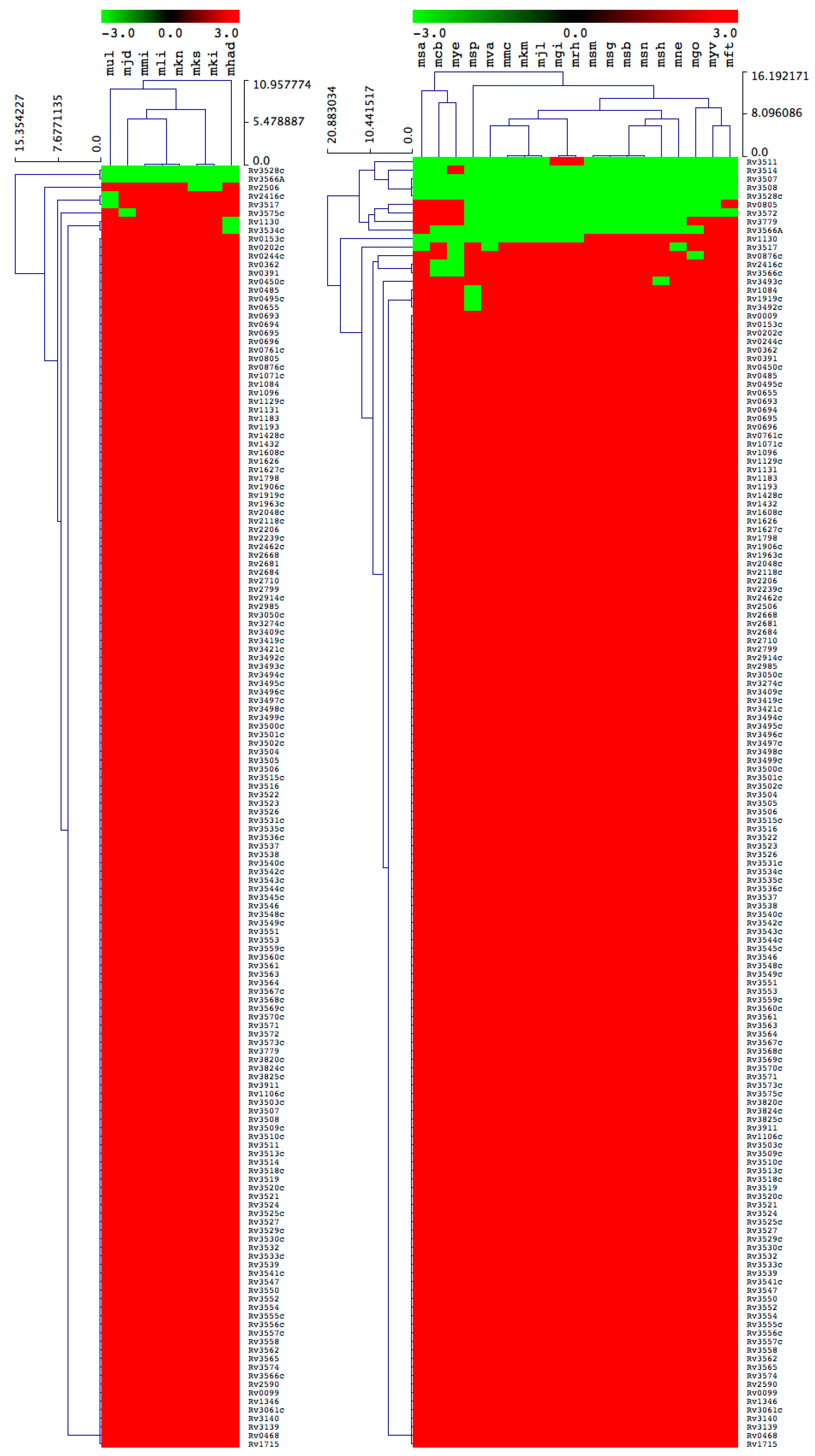 Ijms 20 01032 g006 Ijms 20 01032 g006