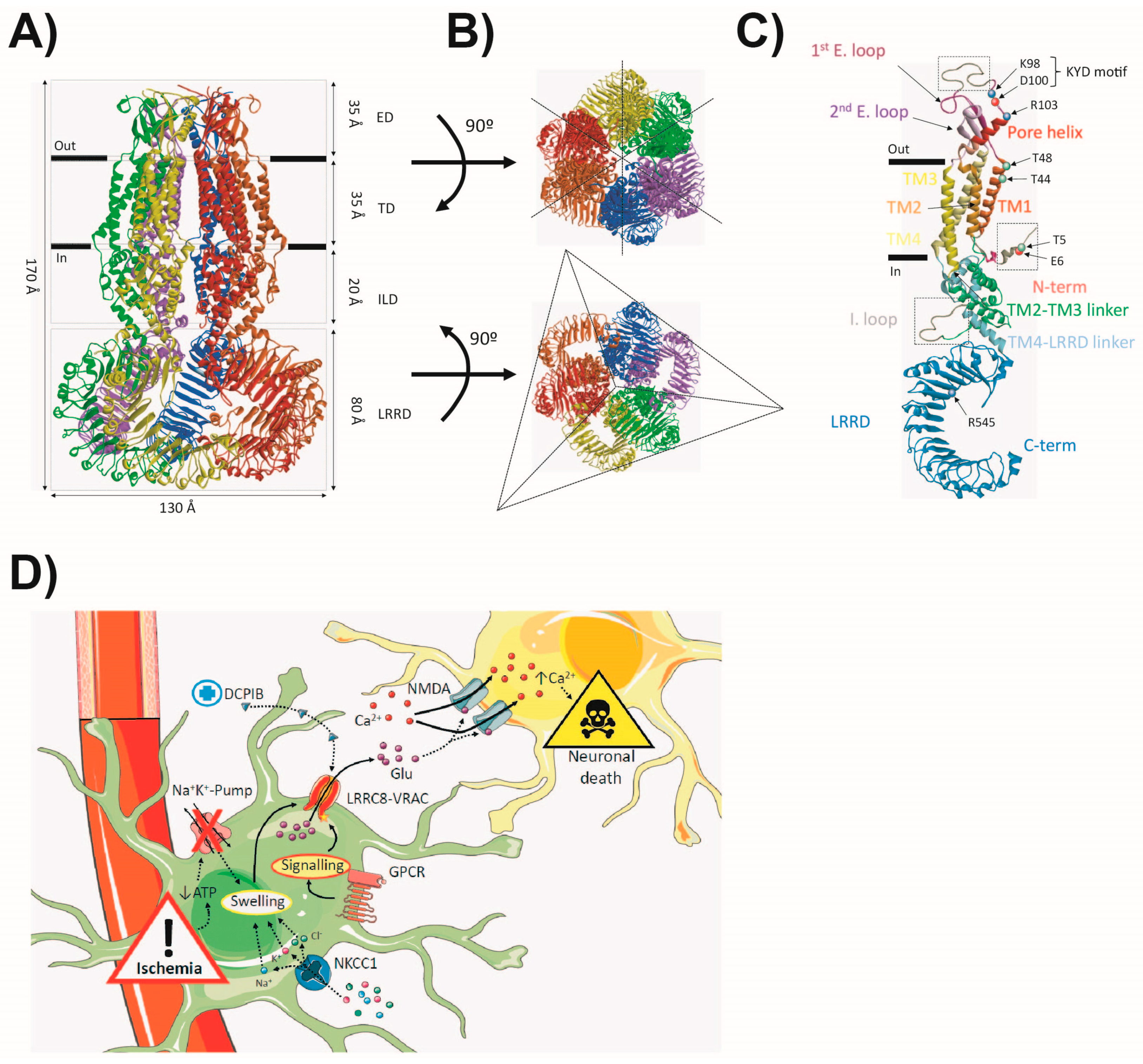 Ijms 20 01034 g003 Ijms 20 01034 g003