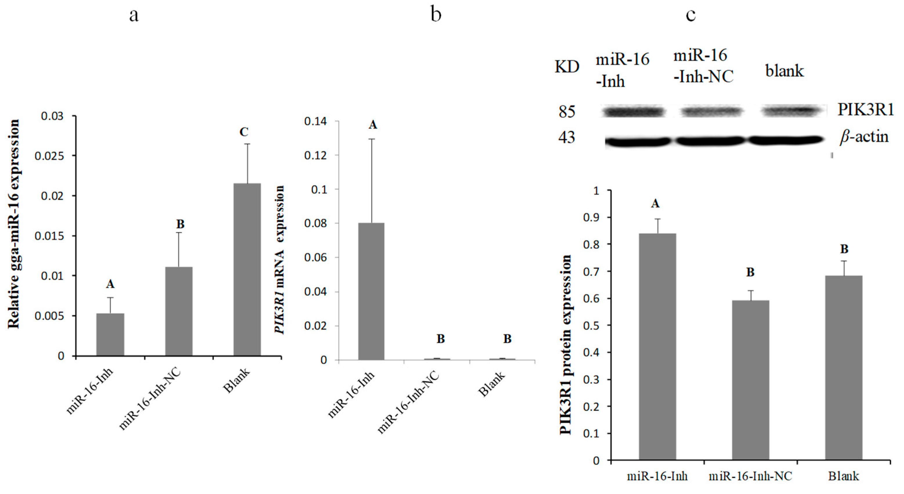 Ijms 20 01036 g004 Ijms 20 01036 g004